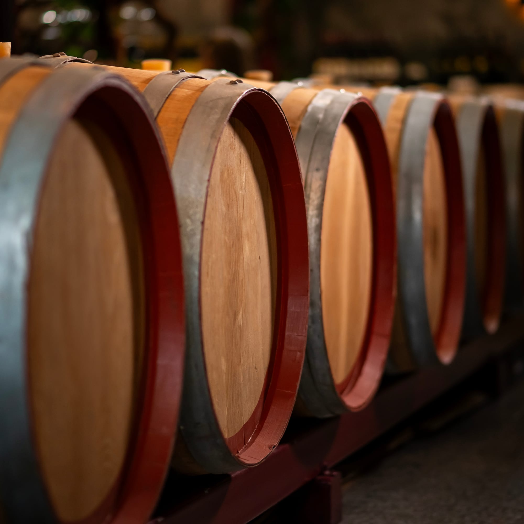 Oak wine barrels lined up in a dim winery cellar.