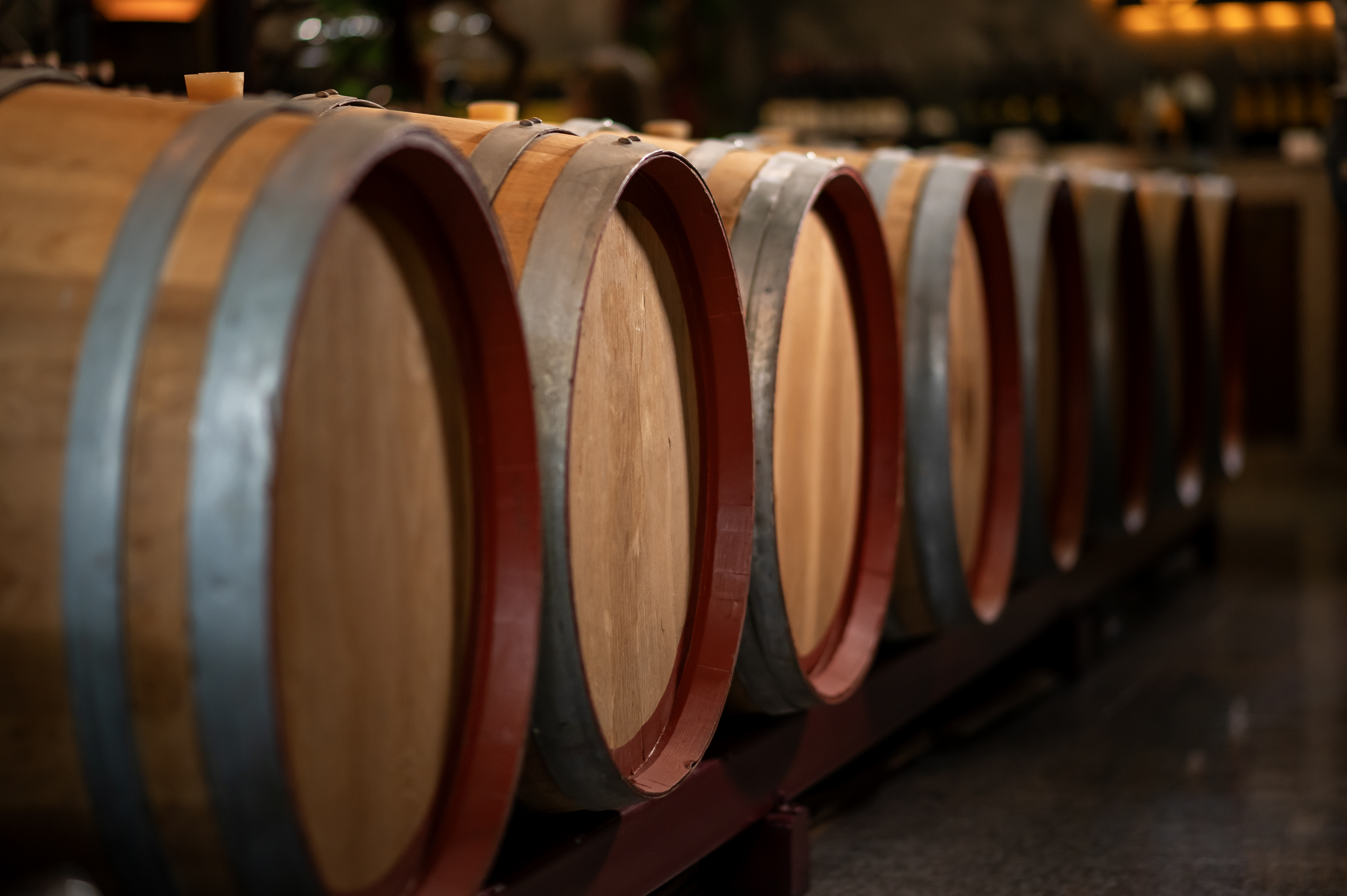 Oak wine barrels lined up in a dim winery cellar.