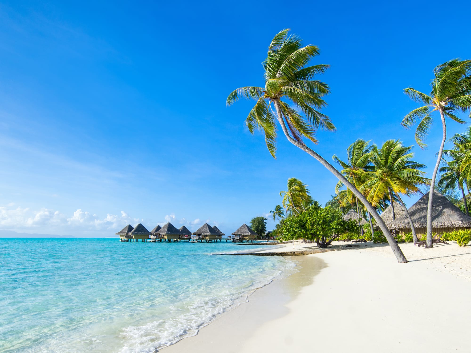 Tropical beach with palm trees, blue water, white sand, and thatched bungalows.
