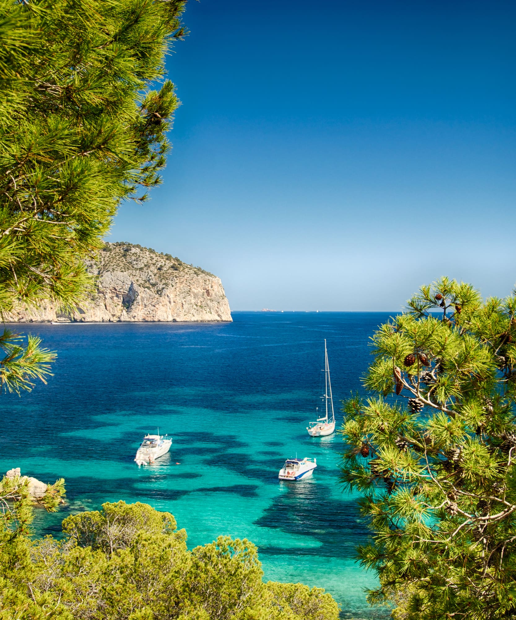 Pine-framed Mediterranean bay: clear turquoise water, boats, and distant cliffs.
