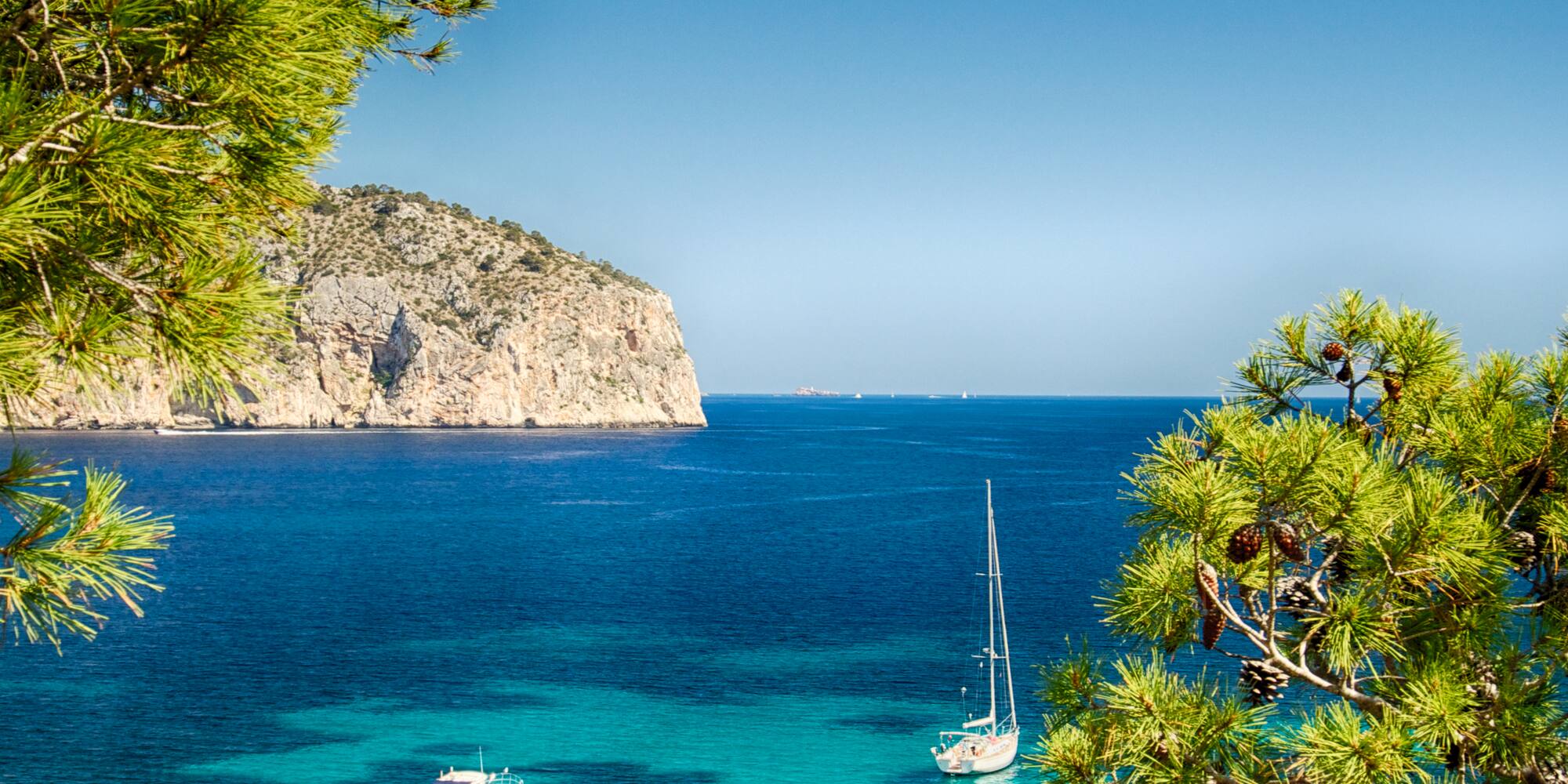 boats in the water with trees and a cliff