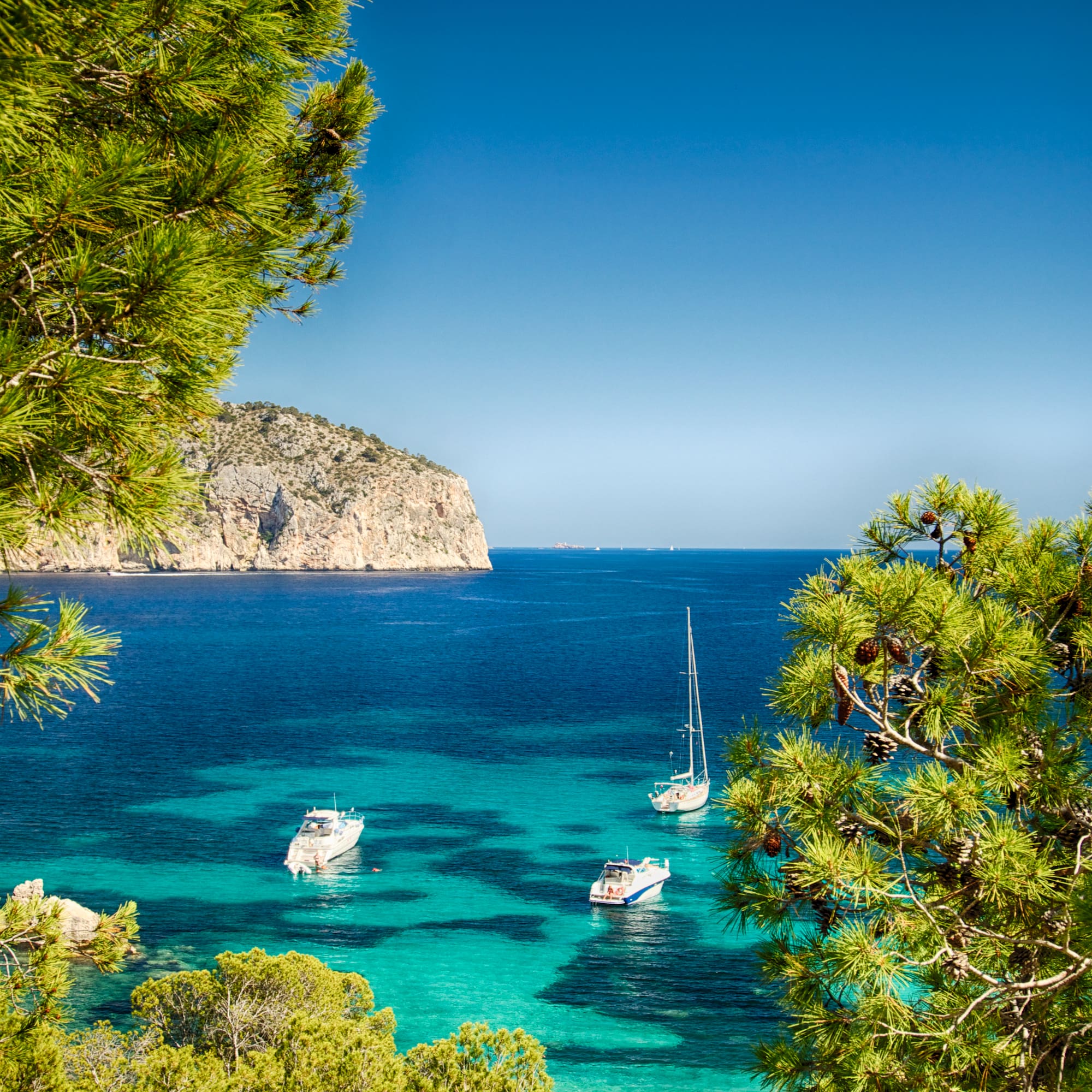 Pine-framed Mediterranean bay: clear turquoise water, boats, and distant cliffs.