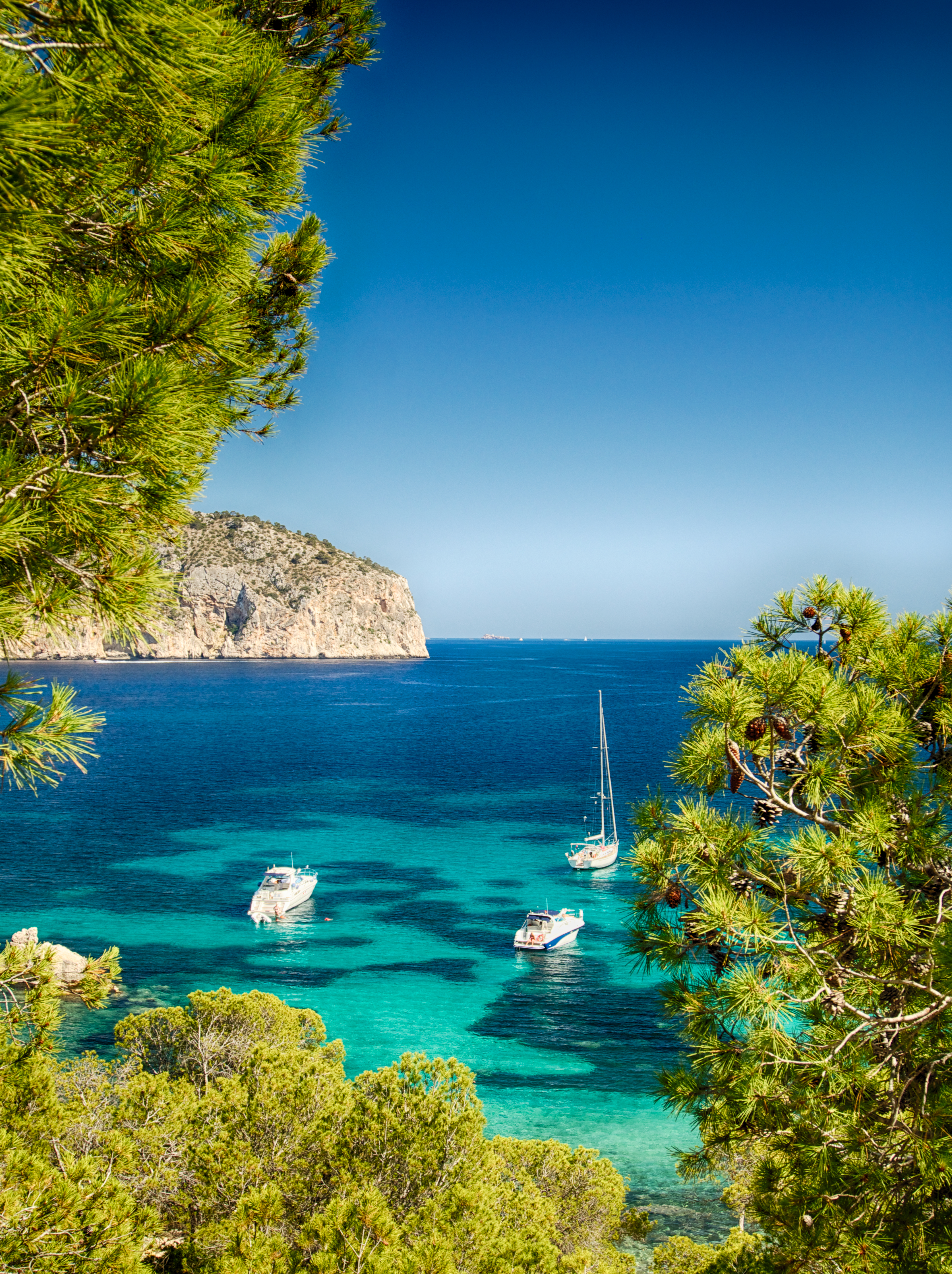 boats in the water with trees and a cliff