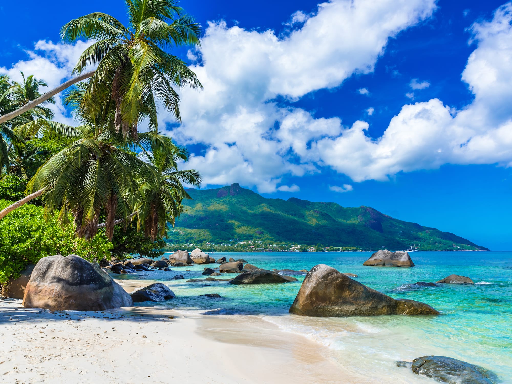 Playa tropical con palmeras, arena blanca, rocas y mar turquesa.