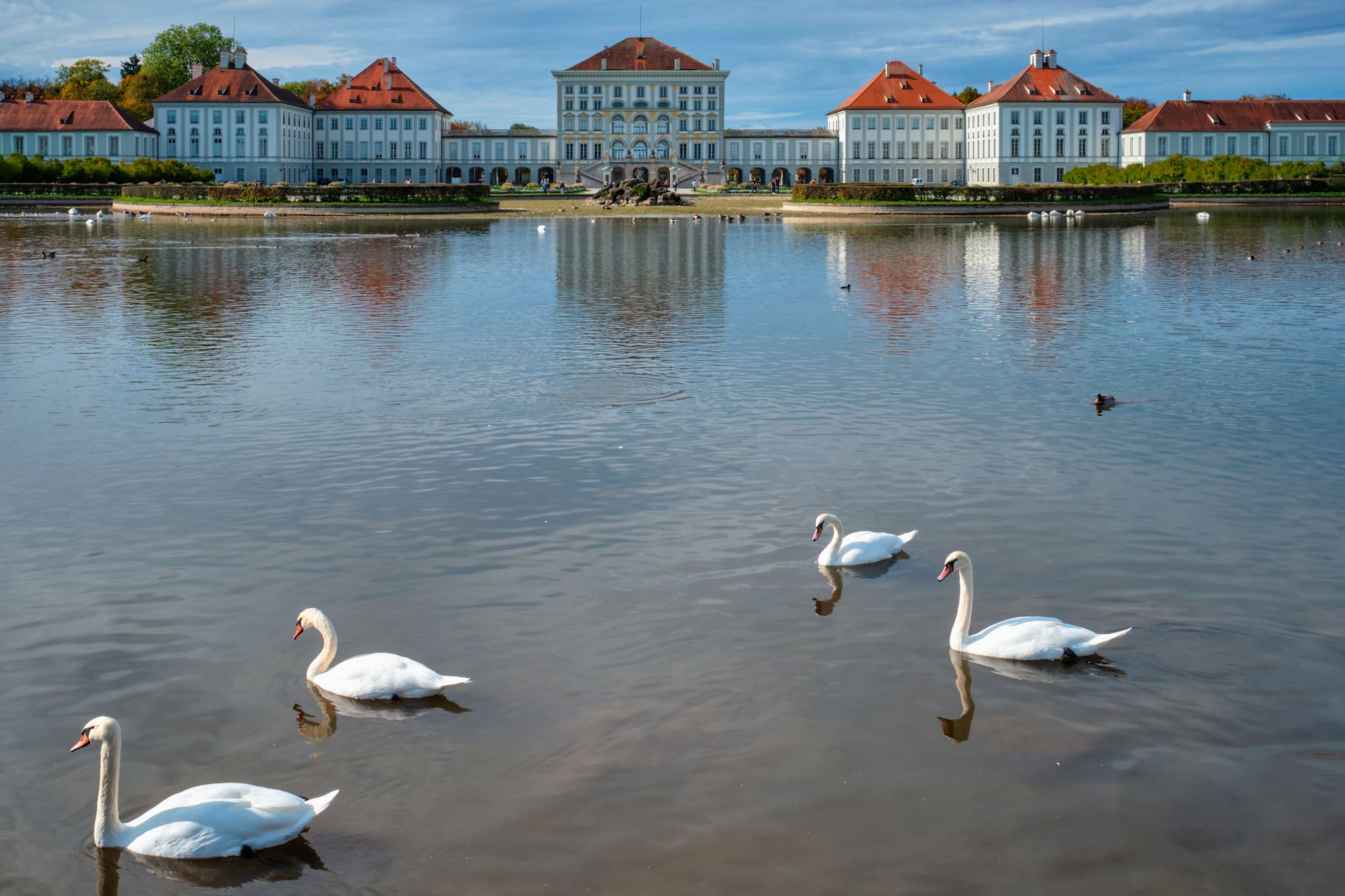 Palacio Nymphenburg y cisnes en lago con reflejos, Múnich.