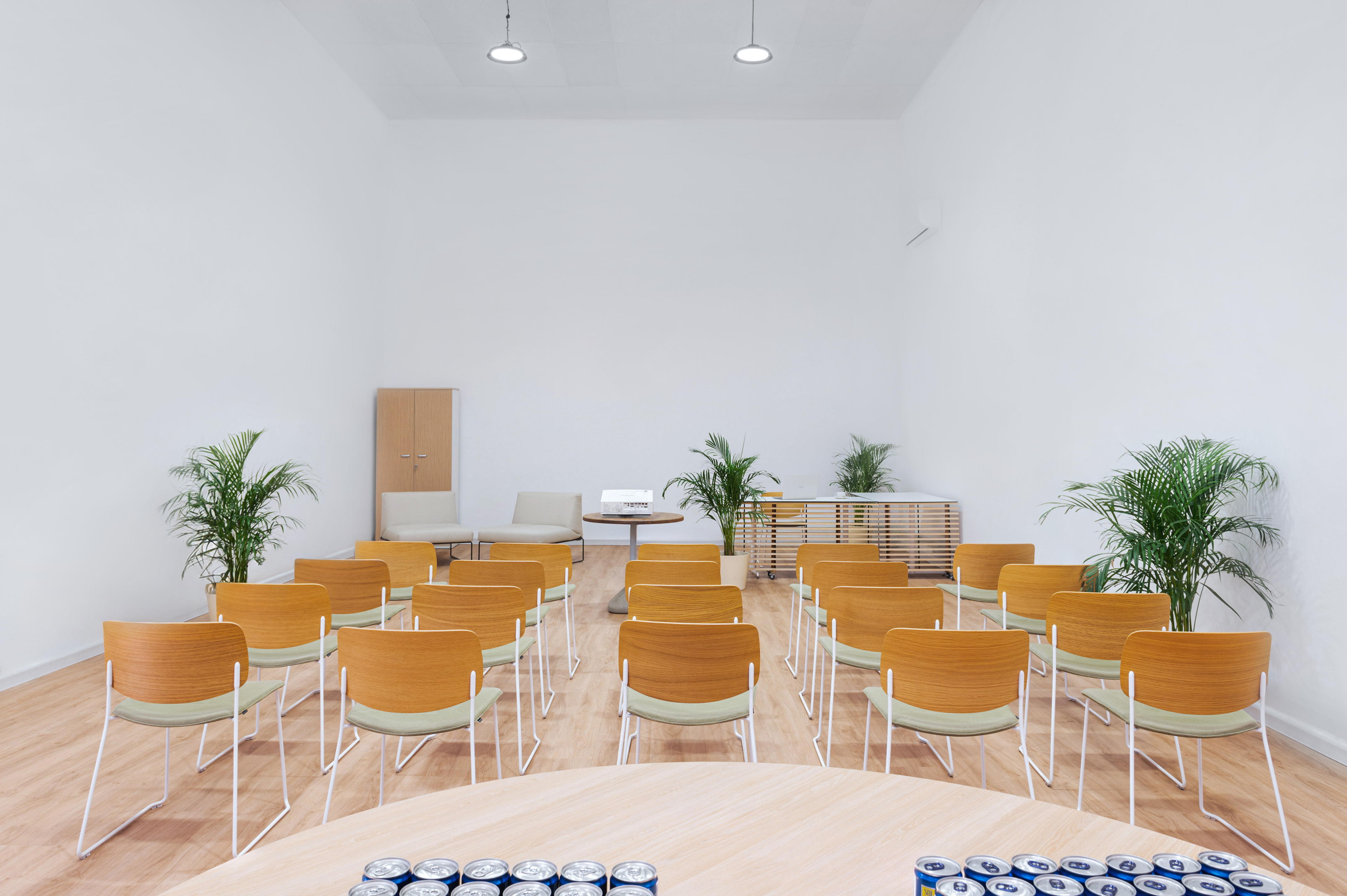 Modern corporate meeting room with wood chairs, projector, and indoor plants.