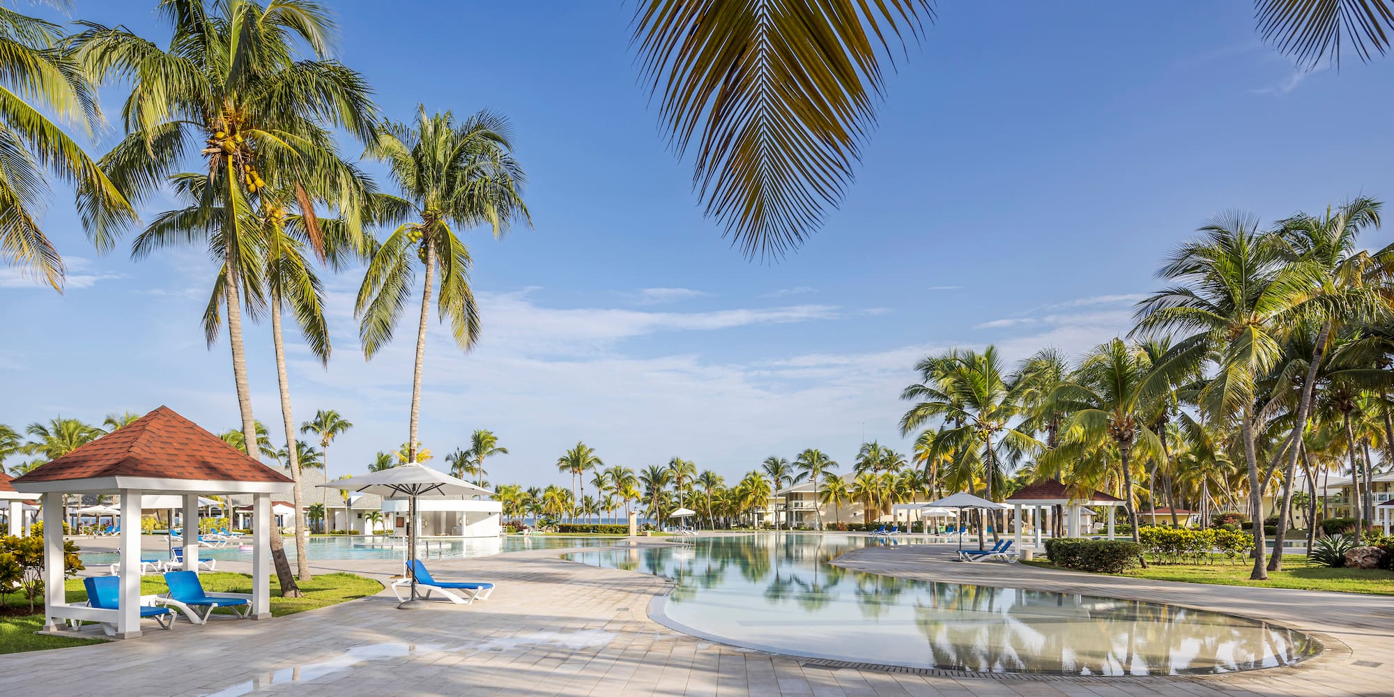 a pool with palm trees and a building