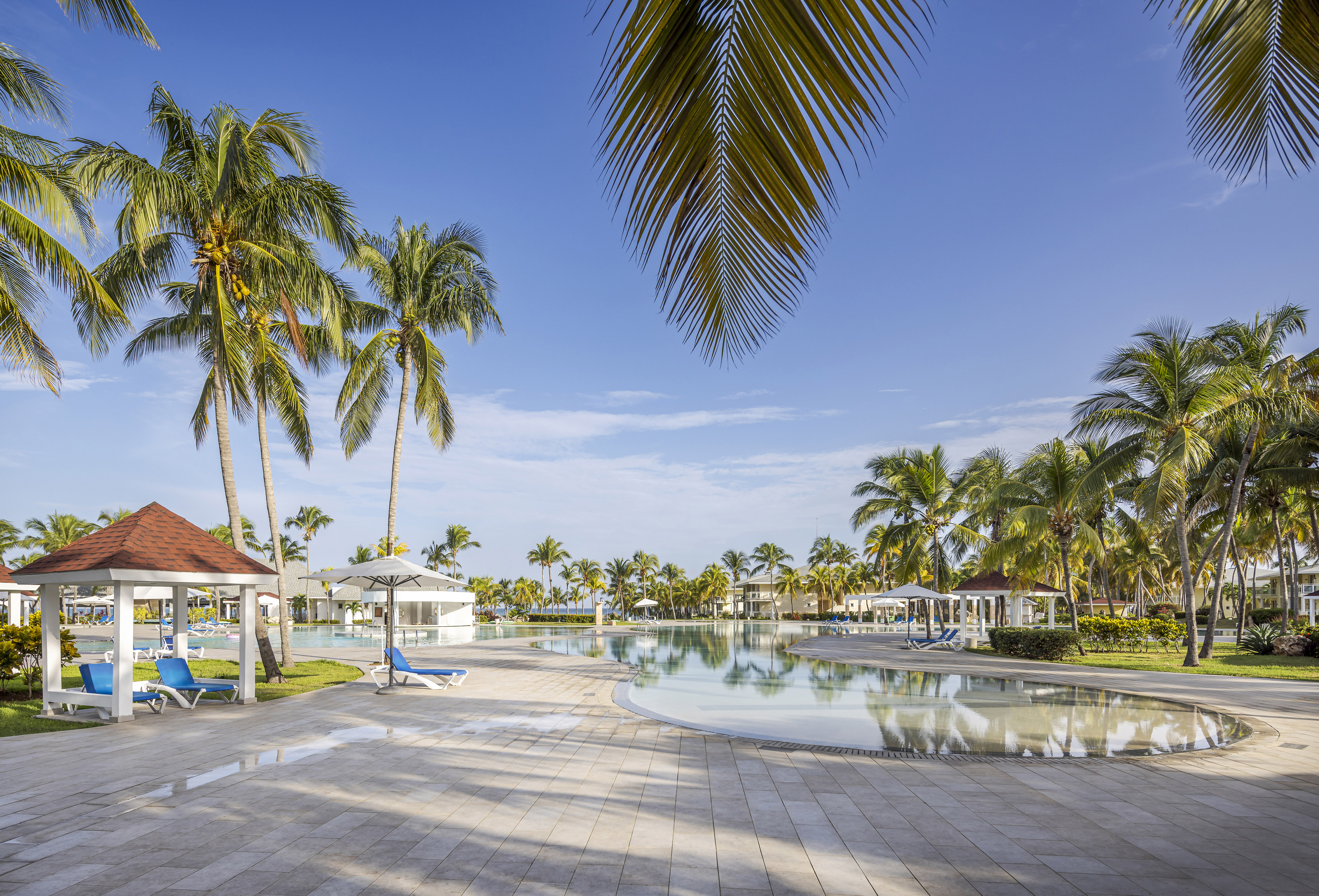 a pool with palm trees and a building