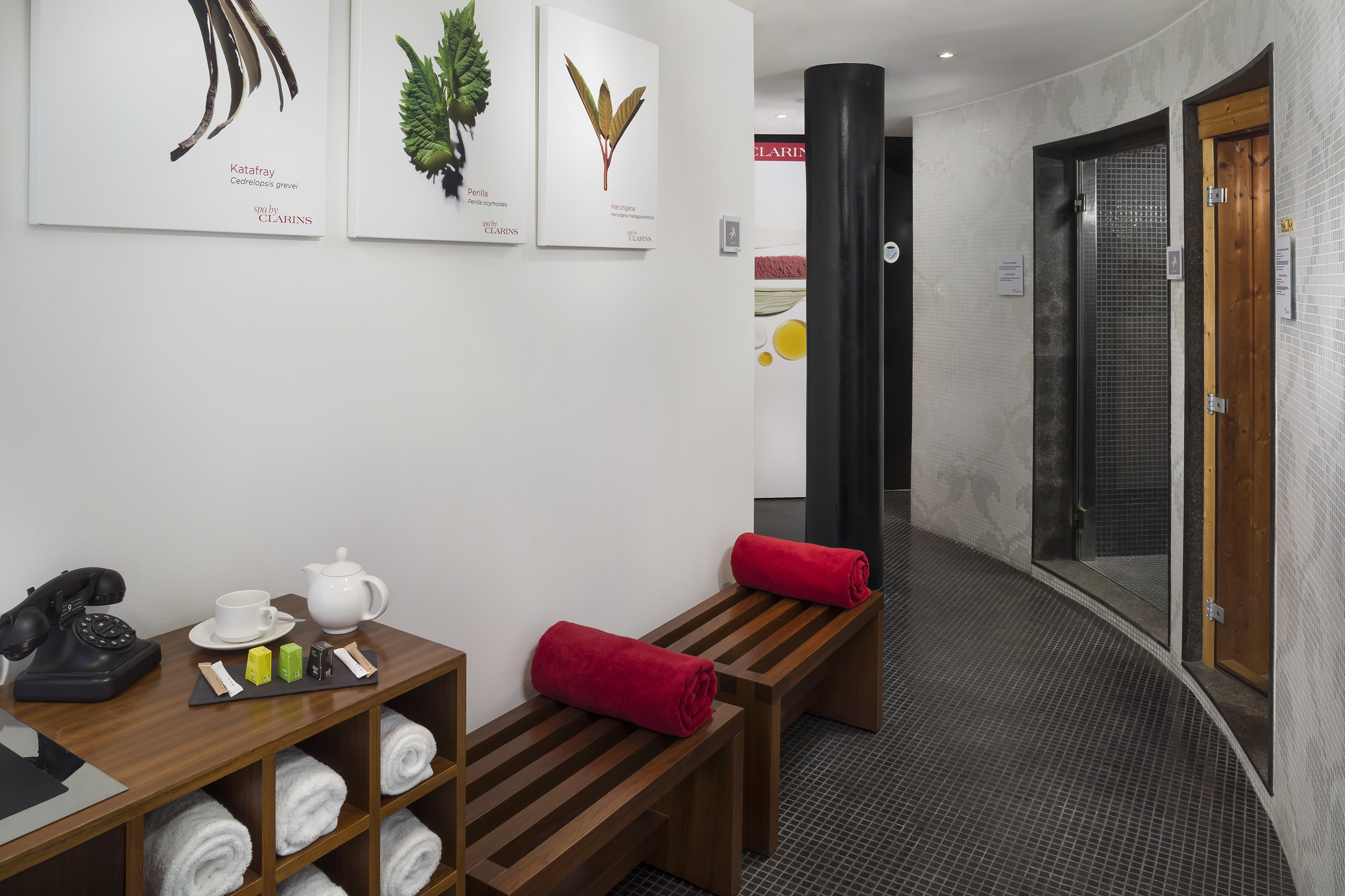 Clarins spa relaxation zone with botanical art, wooden benches, and sauna.