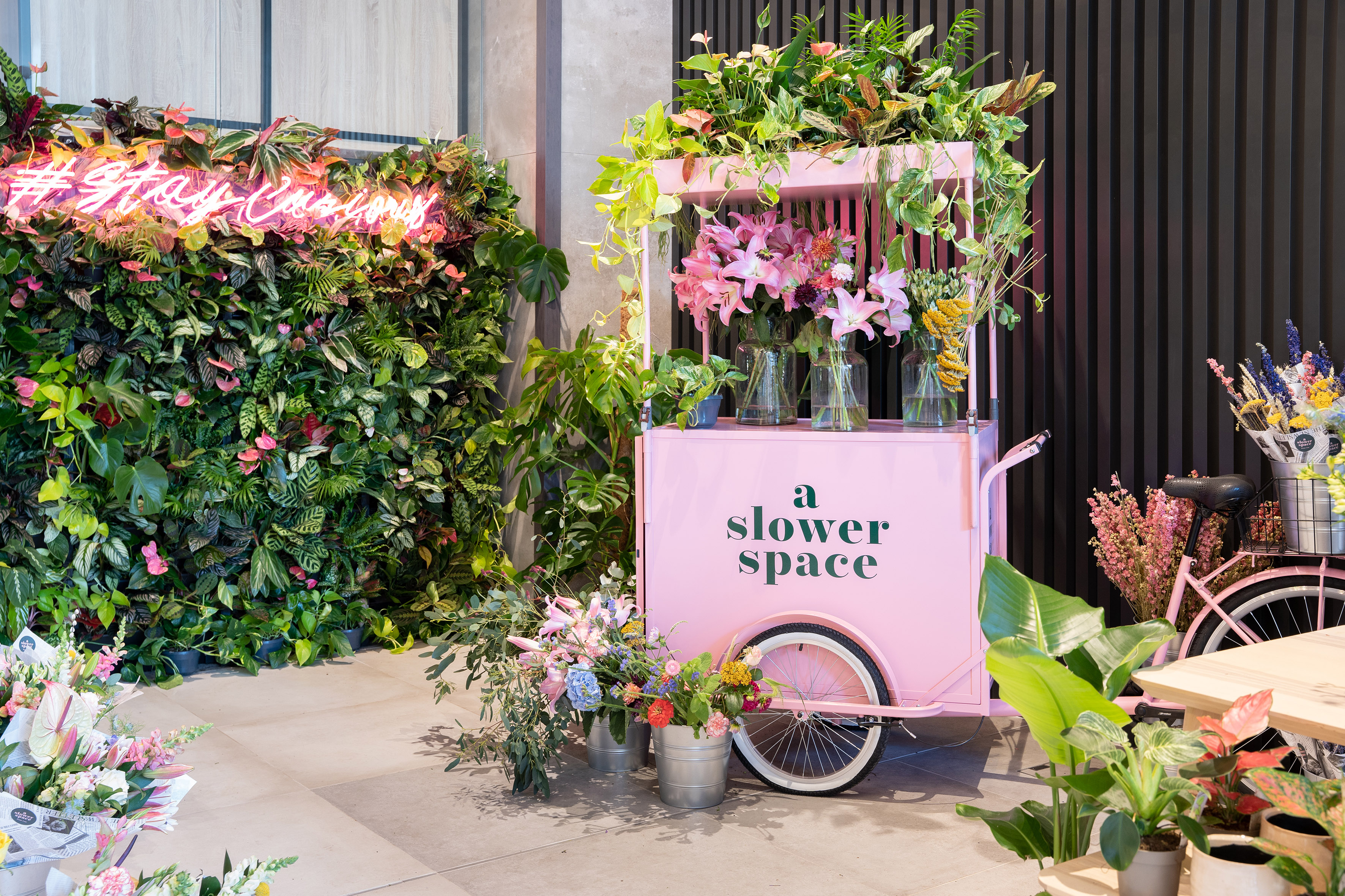 Pink flower cart, 'a slower space' display, living wall, #StayCool neon.