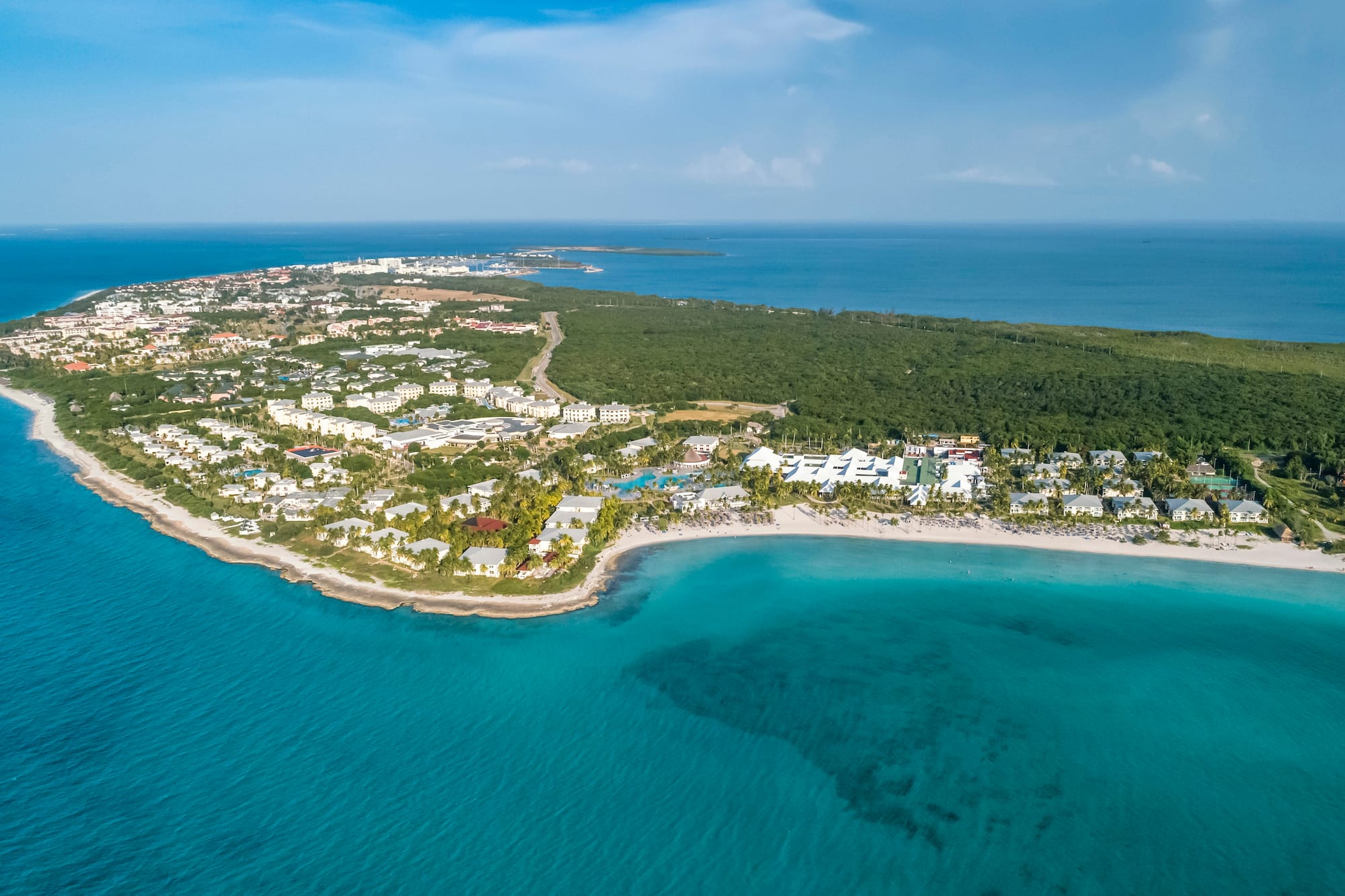 an aerial view of a beach with buildings and trees
