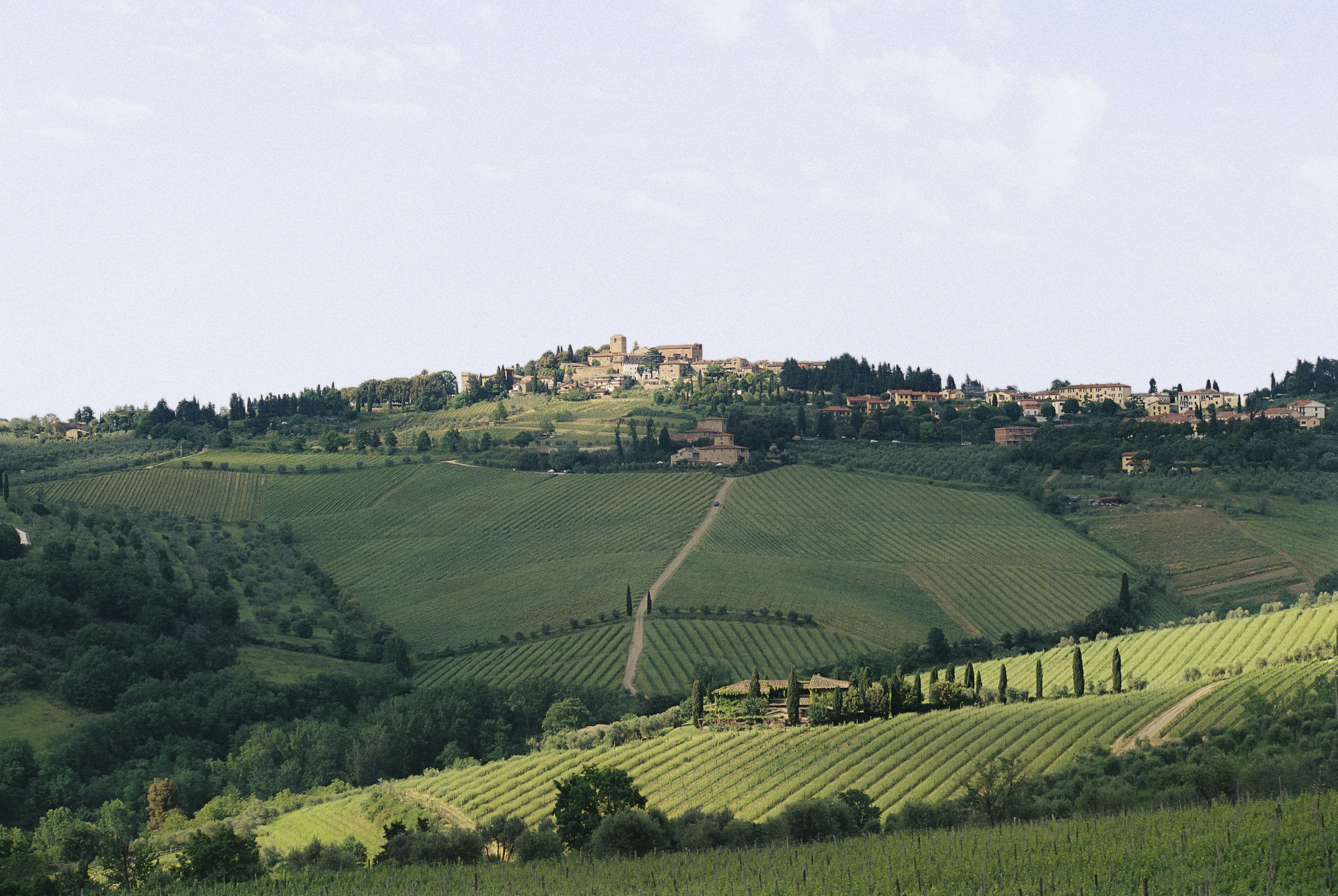 a green hills with trees and buildings
