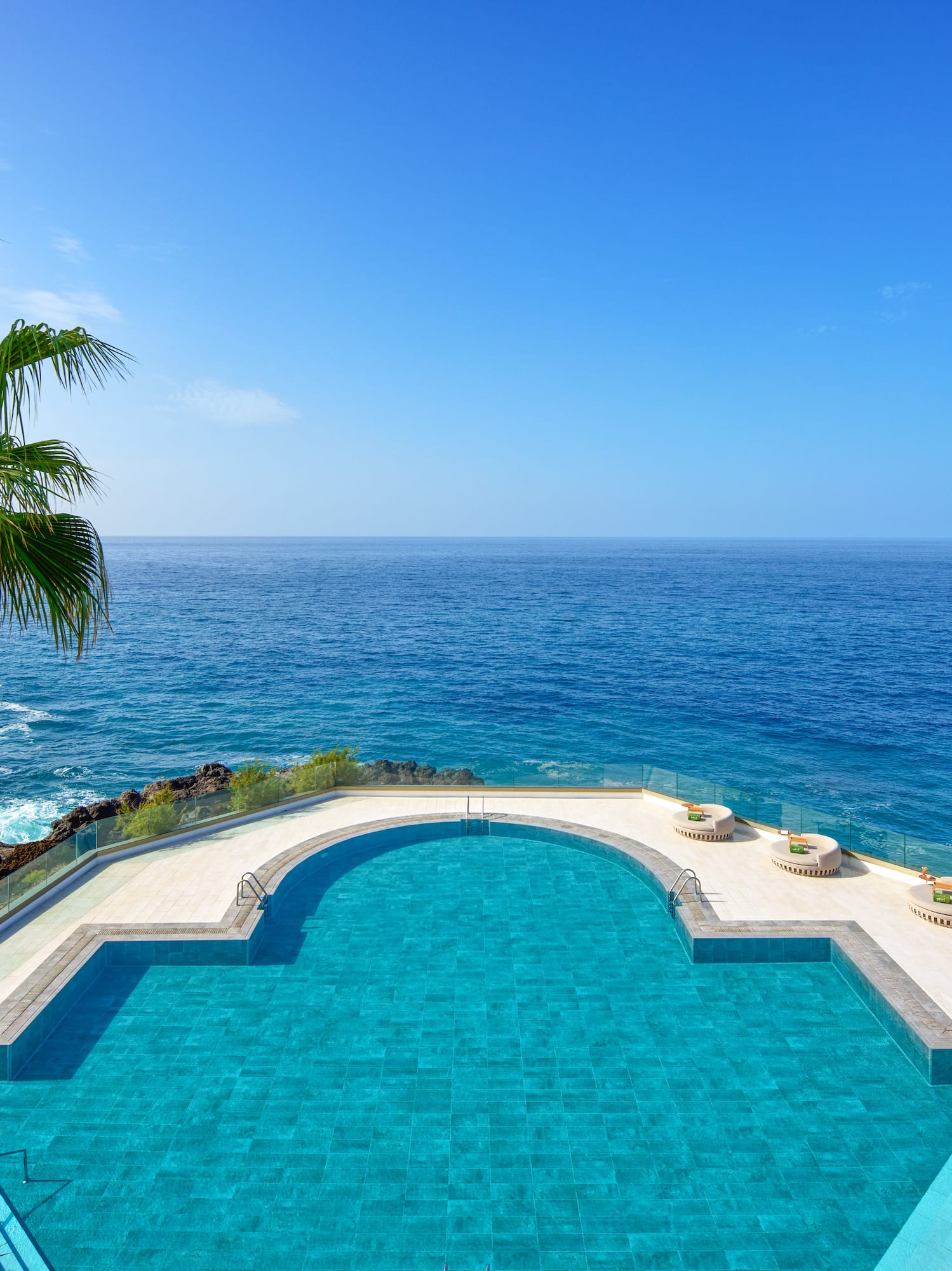 a pool with a palm tree overlooking the ocean