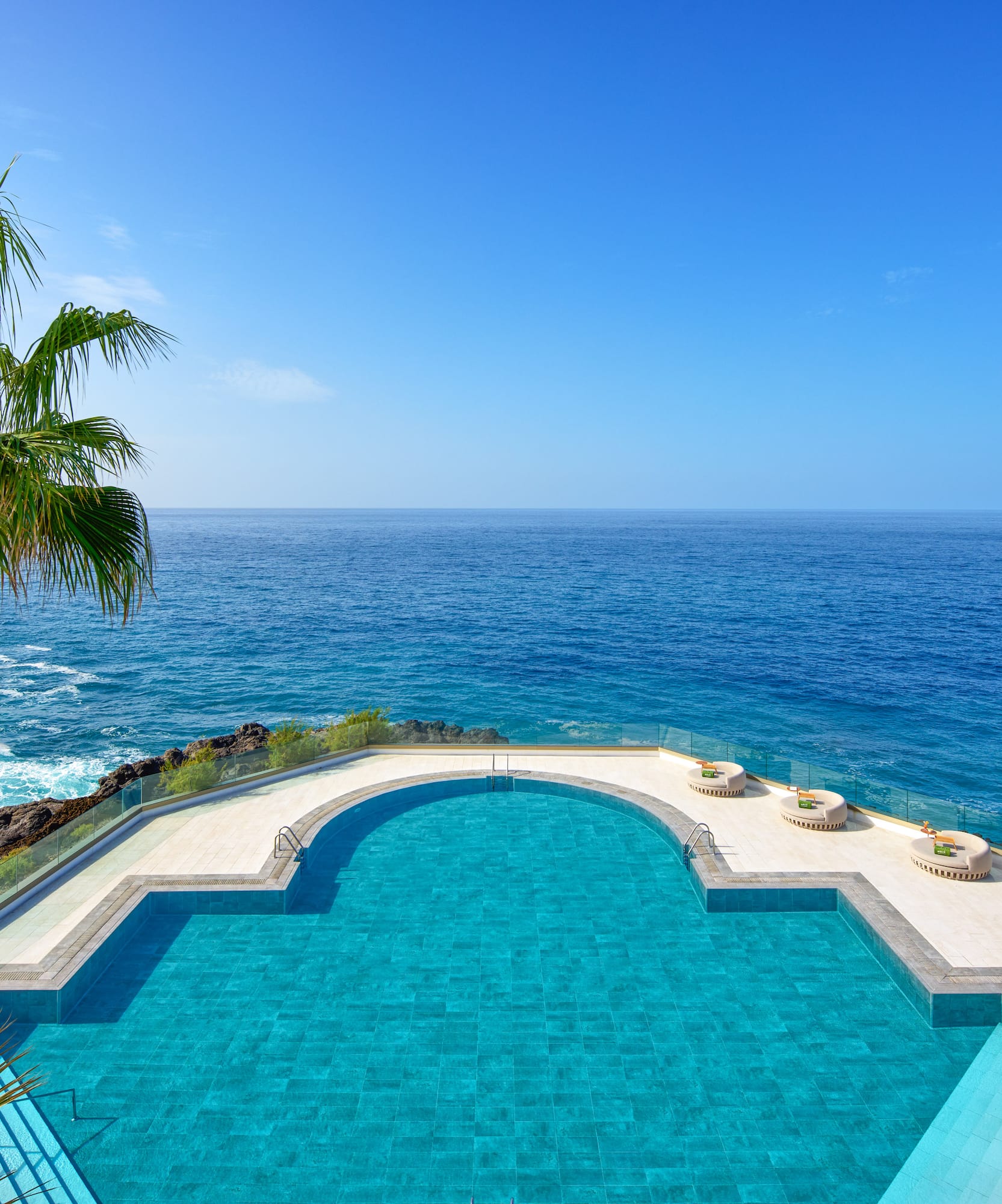 a pool with a palm tree overlooking the ocean