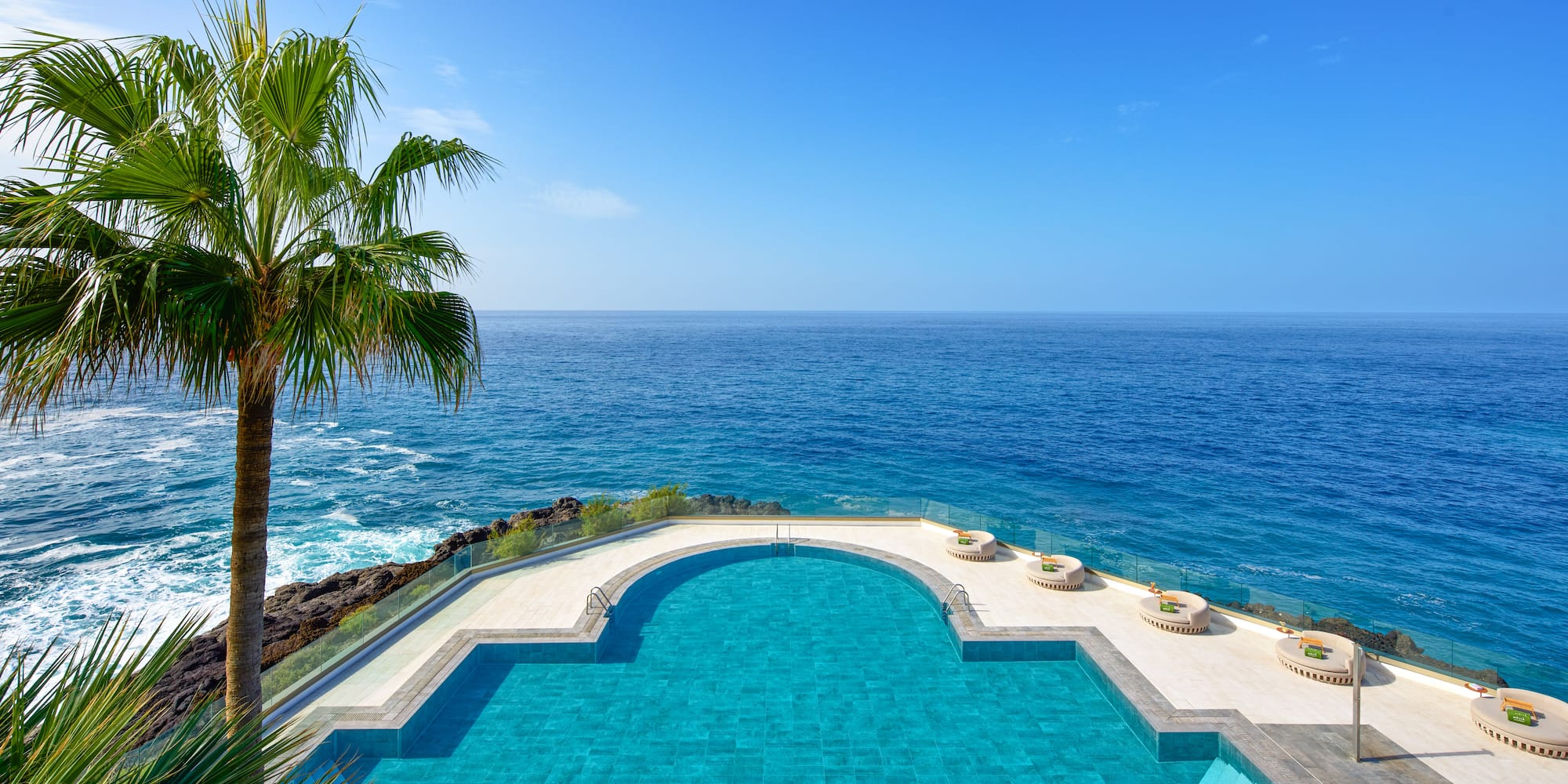 a pool with a palm tree overlooking the ocean