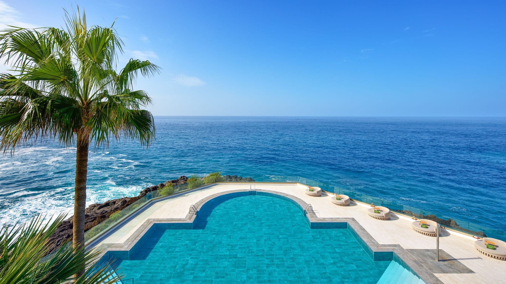 a pool with a palm tree overlooking the ocean