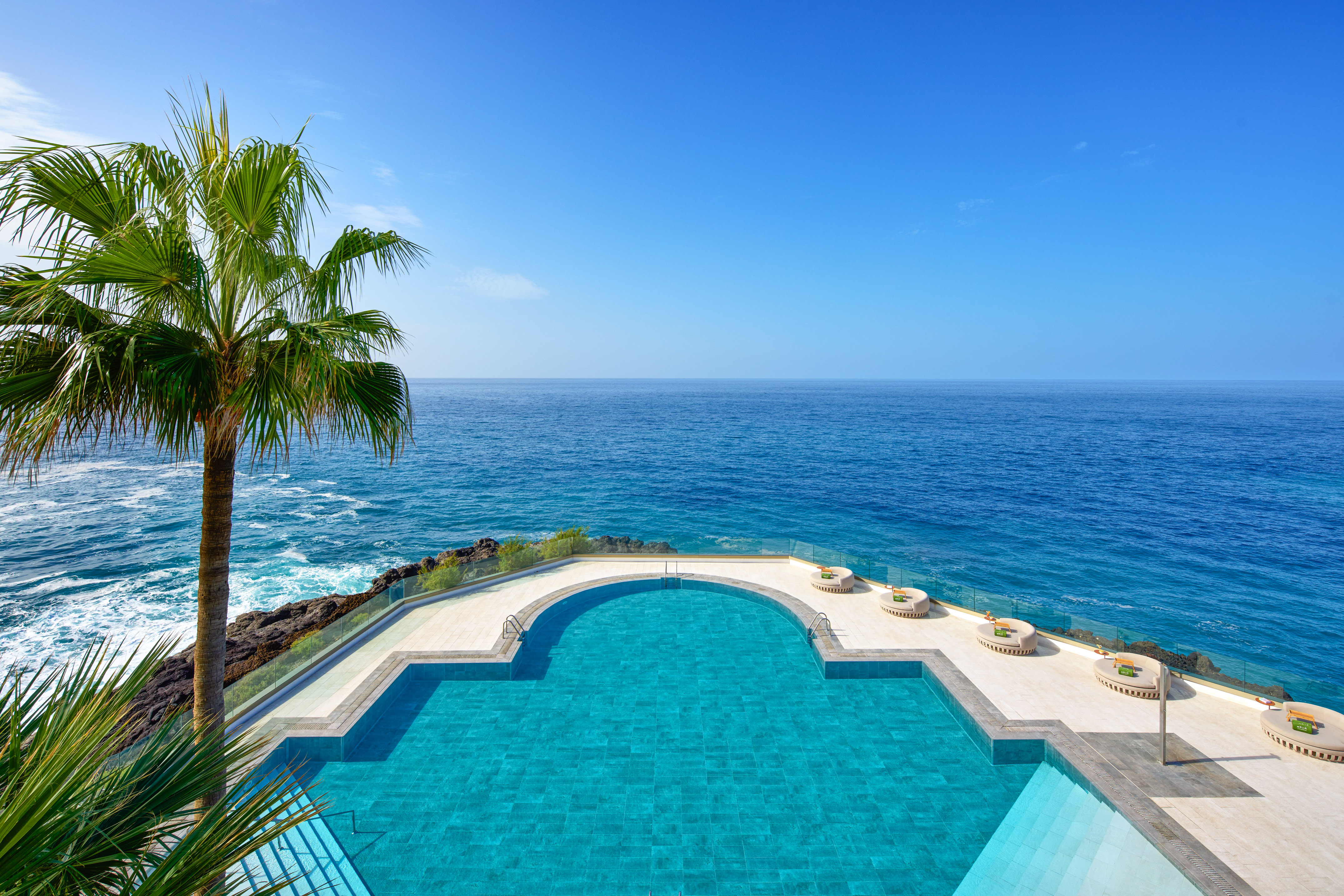 a pool with a palm tree overlooking the ocean