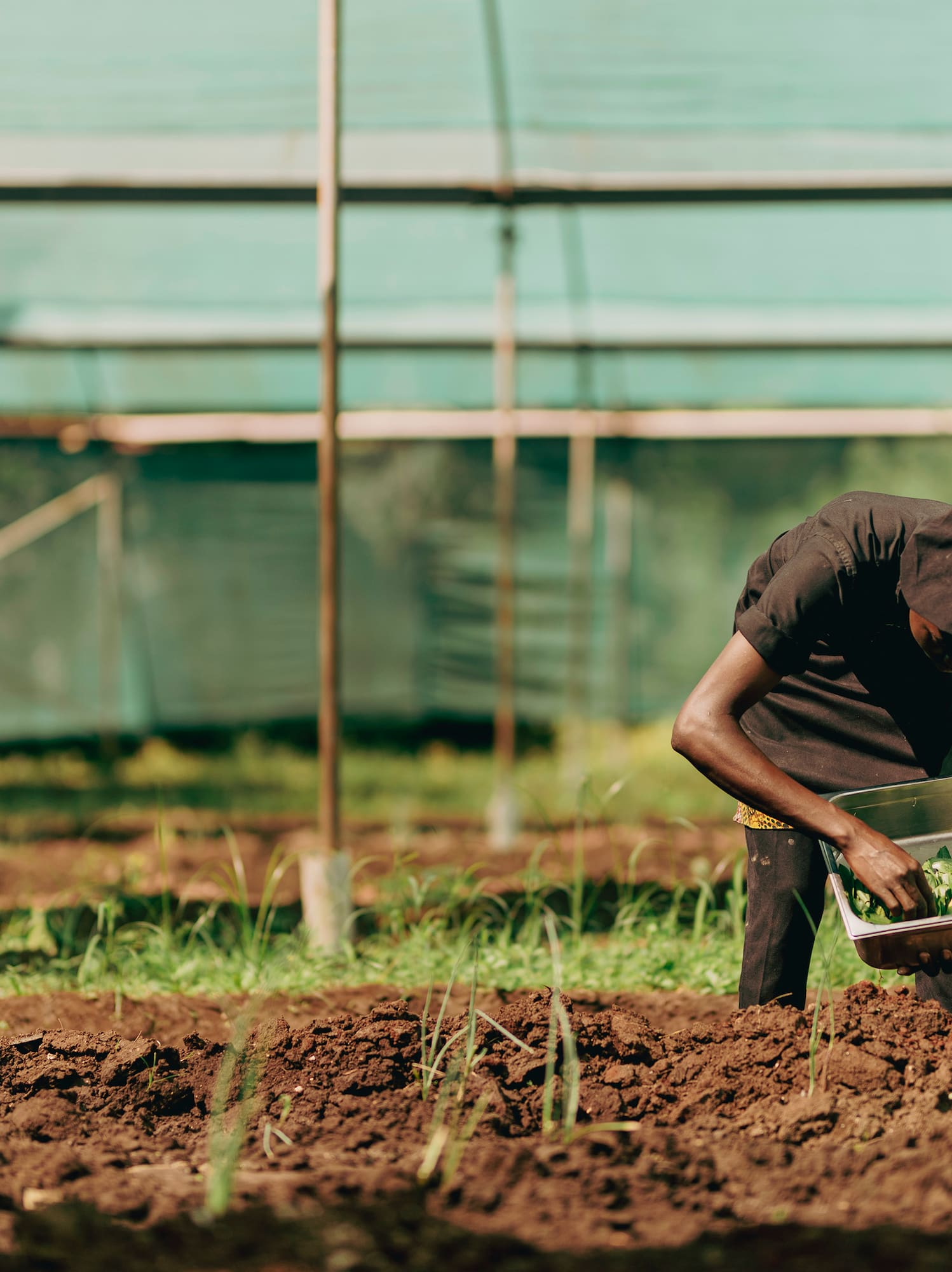 a man in a black shirt working in a field