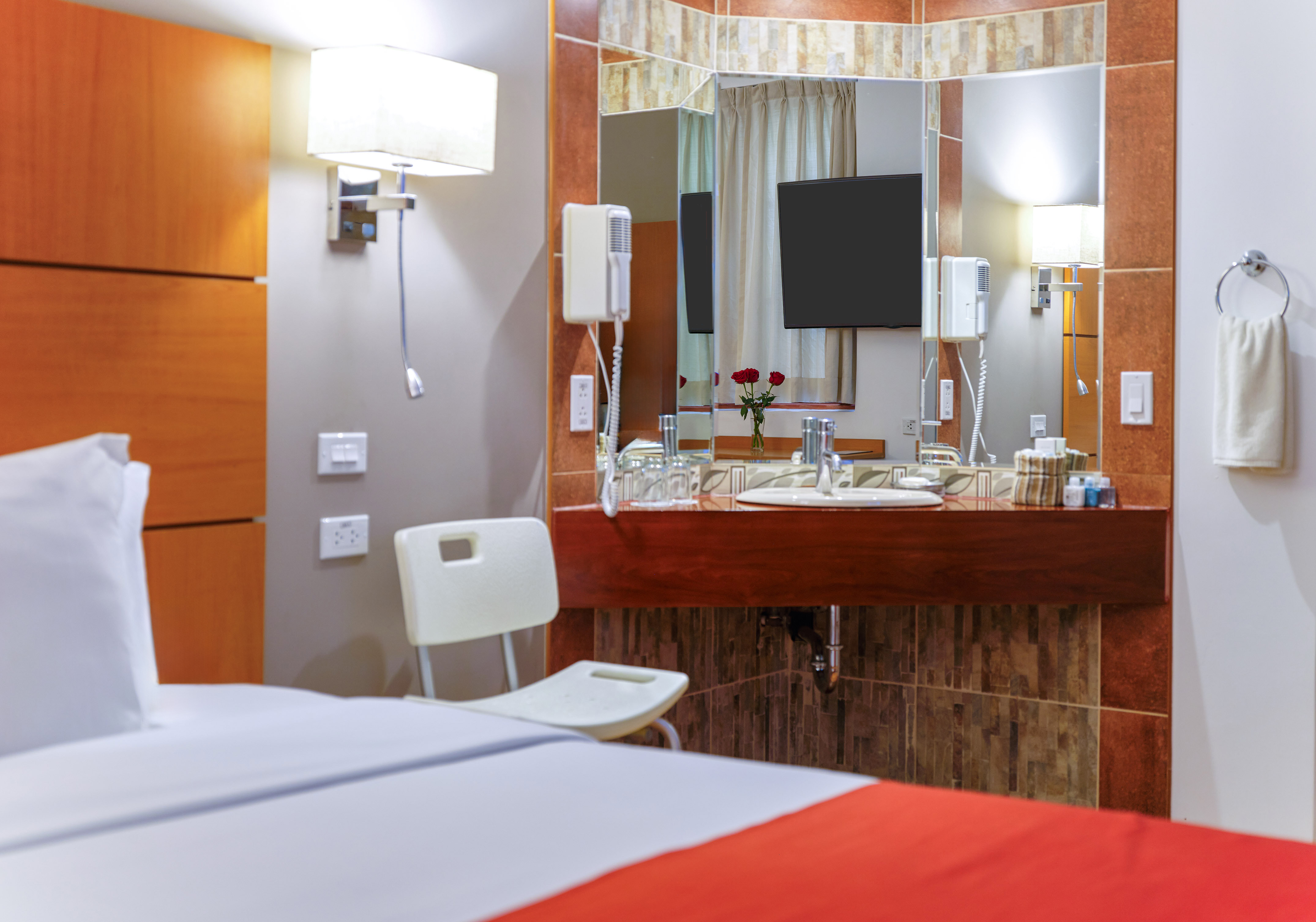 a bathroom with a mirror and a bed