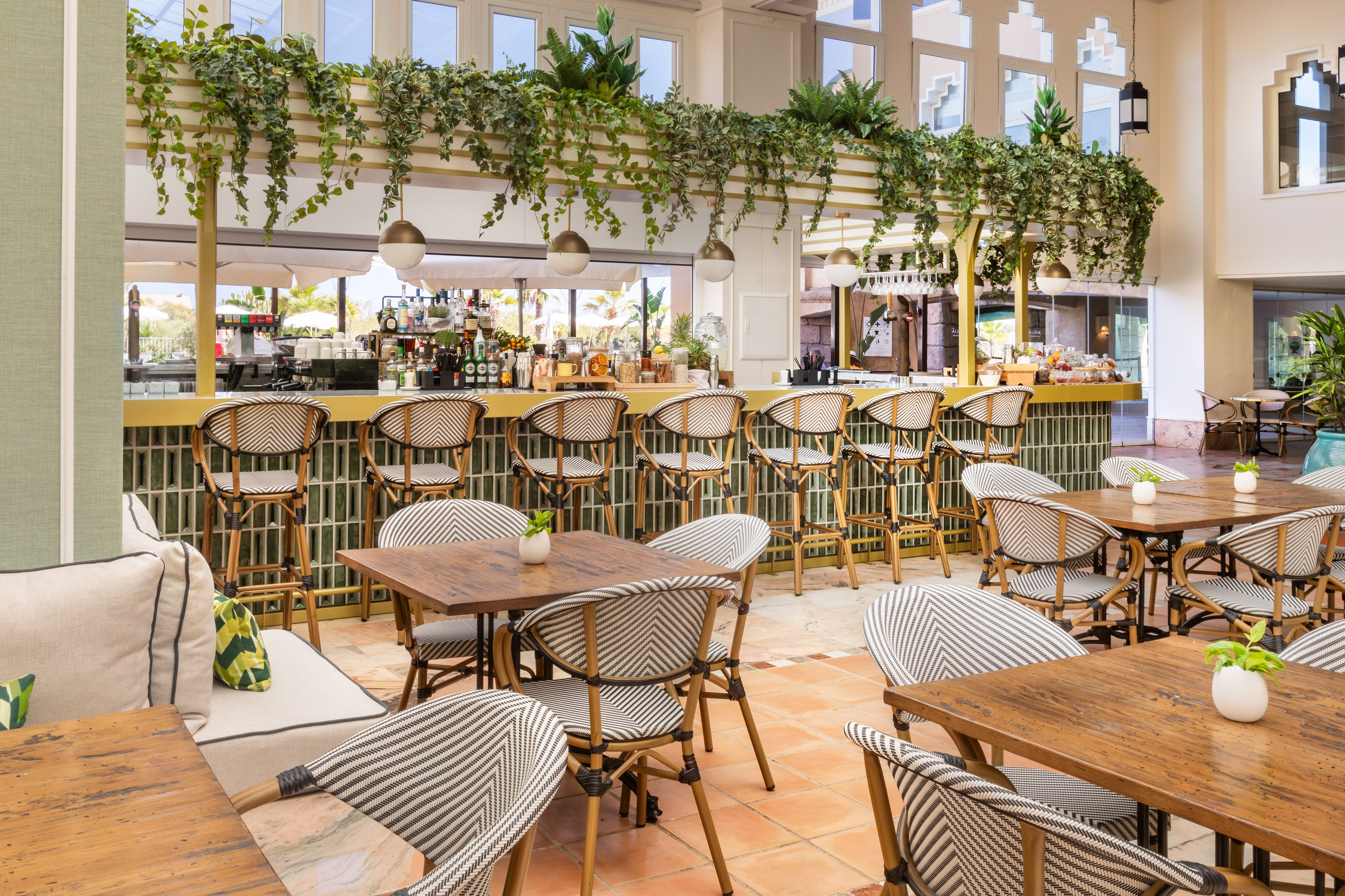 Hotel bar and restaurant with plants and stylish rattan seating.