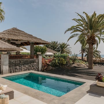 a pool with a straw roof and palm trees