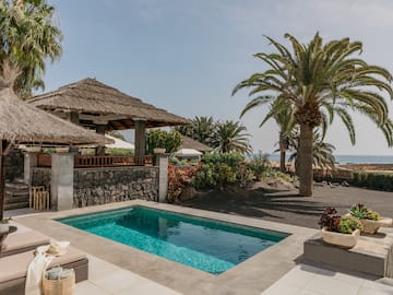 a pool with a straw roof and palm trees