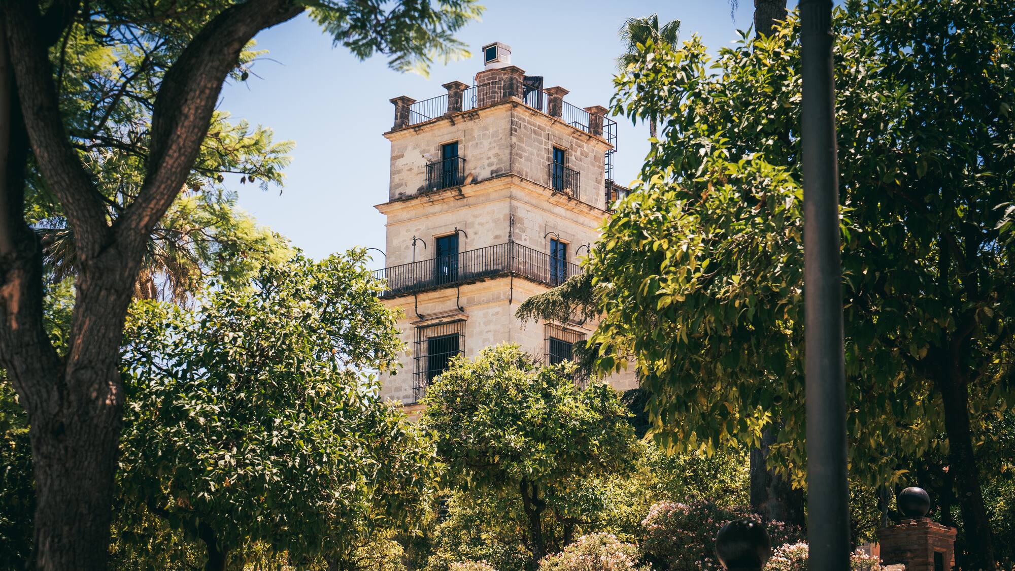a building with trees around it