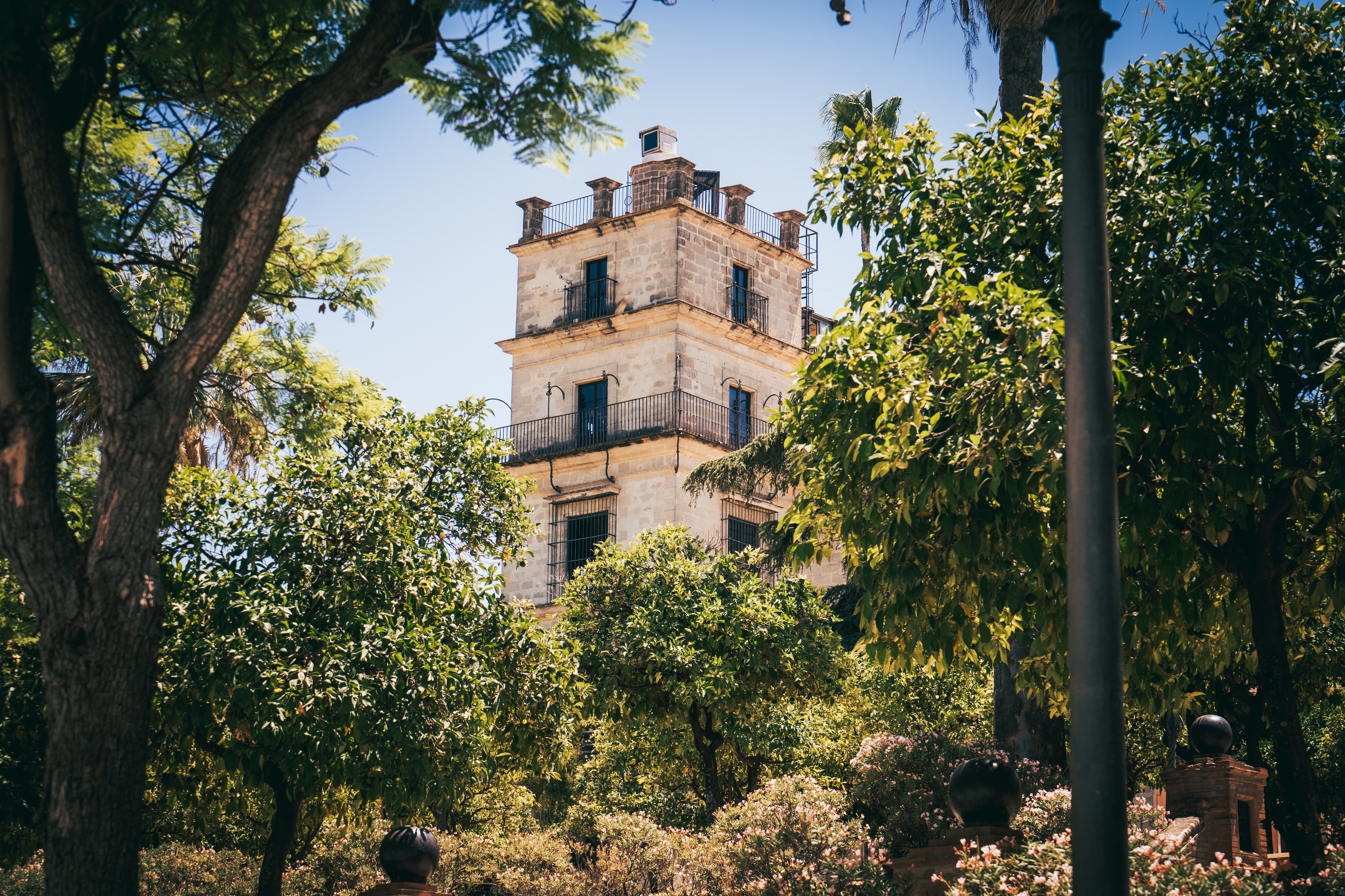 a building with trees around it