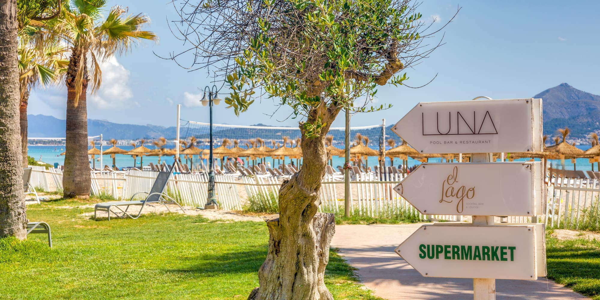 a sign post with a tree and a beach in the background