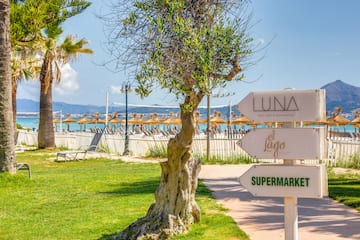 a sign post with a tree and a beach in the background
