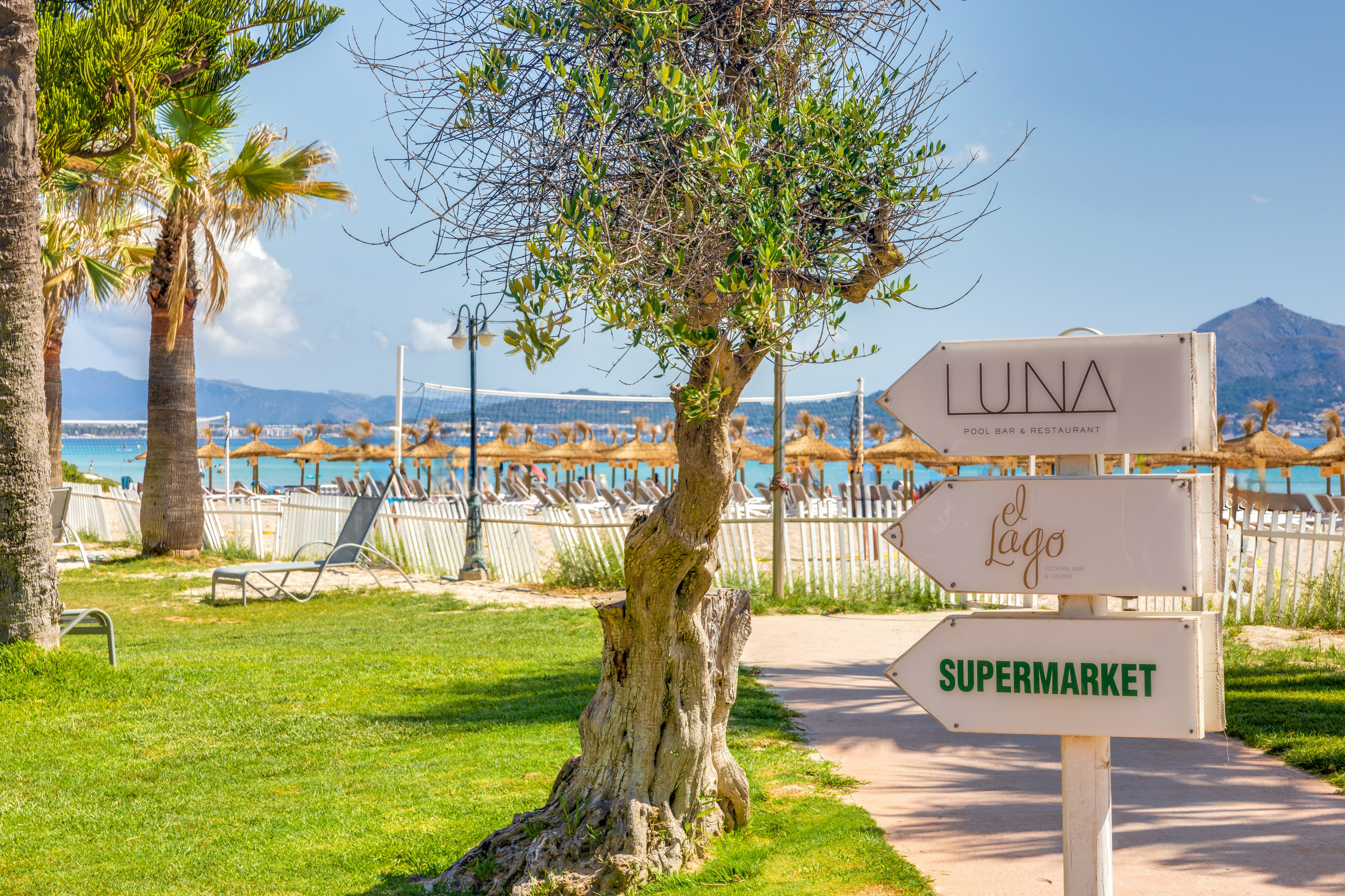 a sign post with a tree and a beach in the background