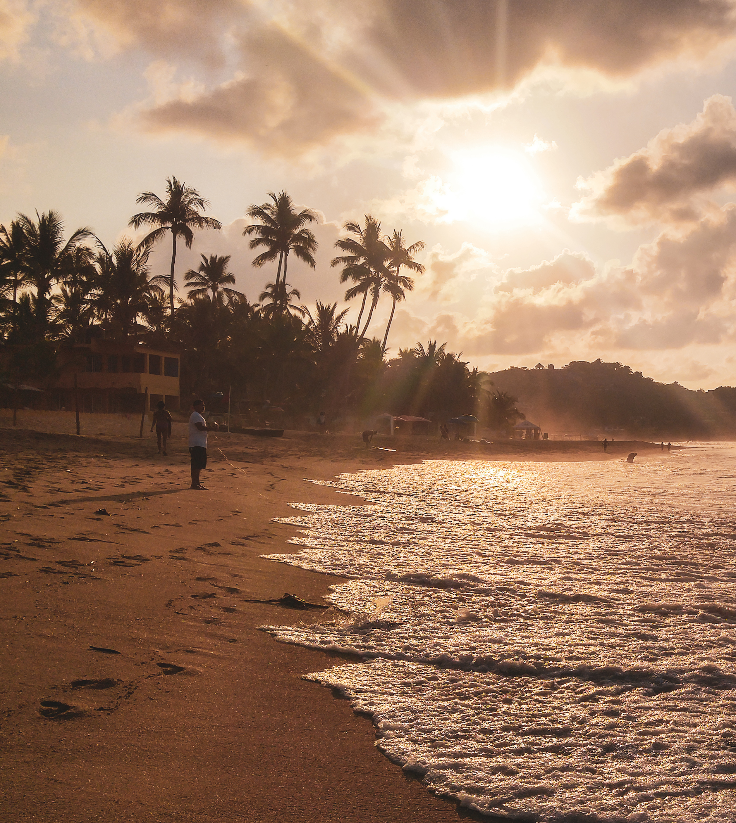 Tropical beach sunset with palm trees, golden waves, and sun rays.