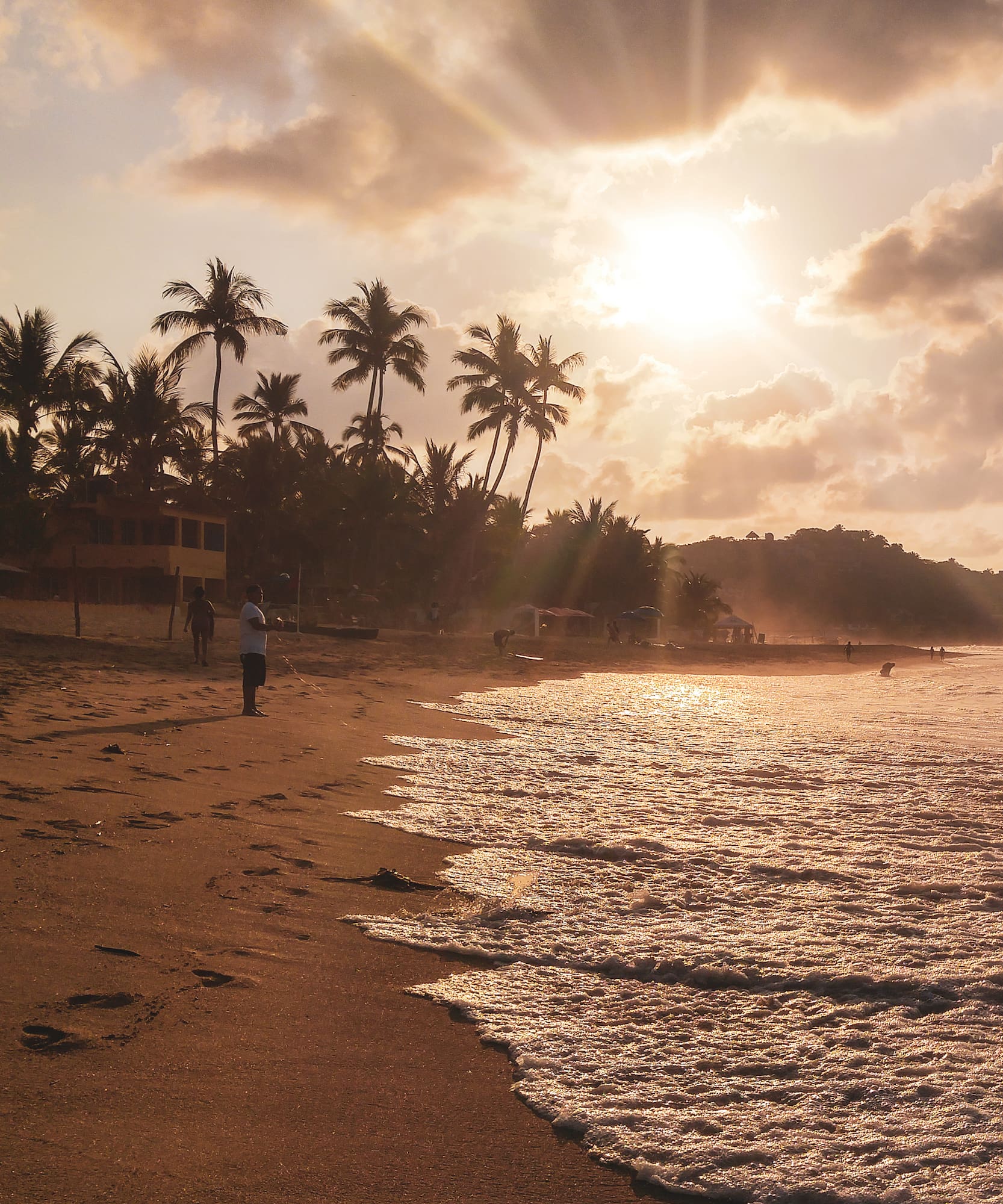 Tropical beach sunset with palm trees, golden waves, and sun rays.