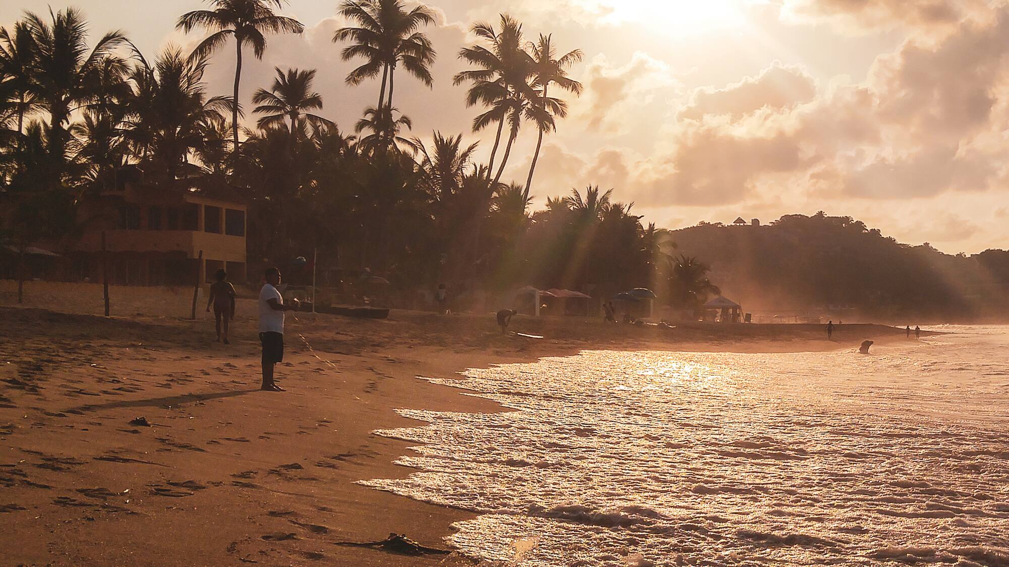 a beach with palm trees and a building