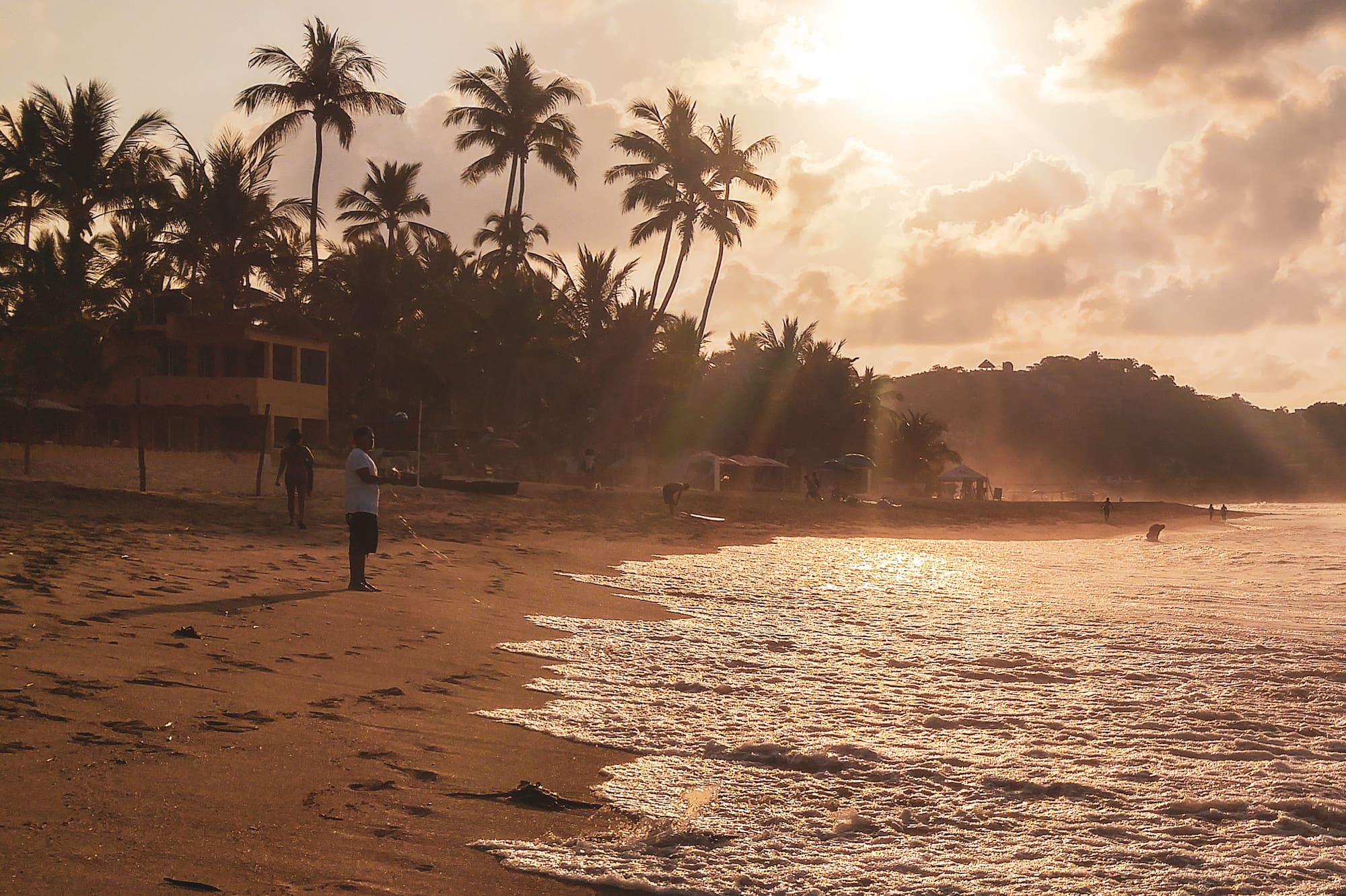 Tropical beach sunset with palm trees, golden waves, and sun rays.