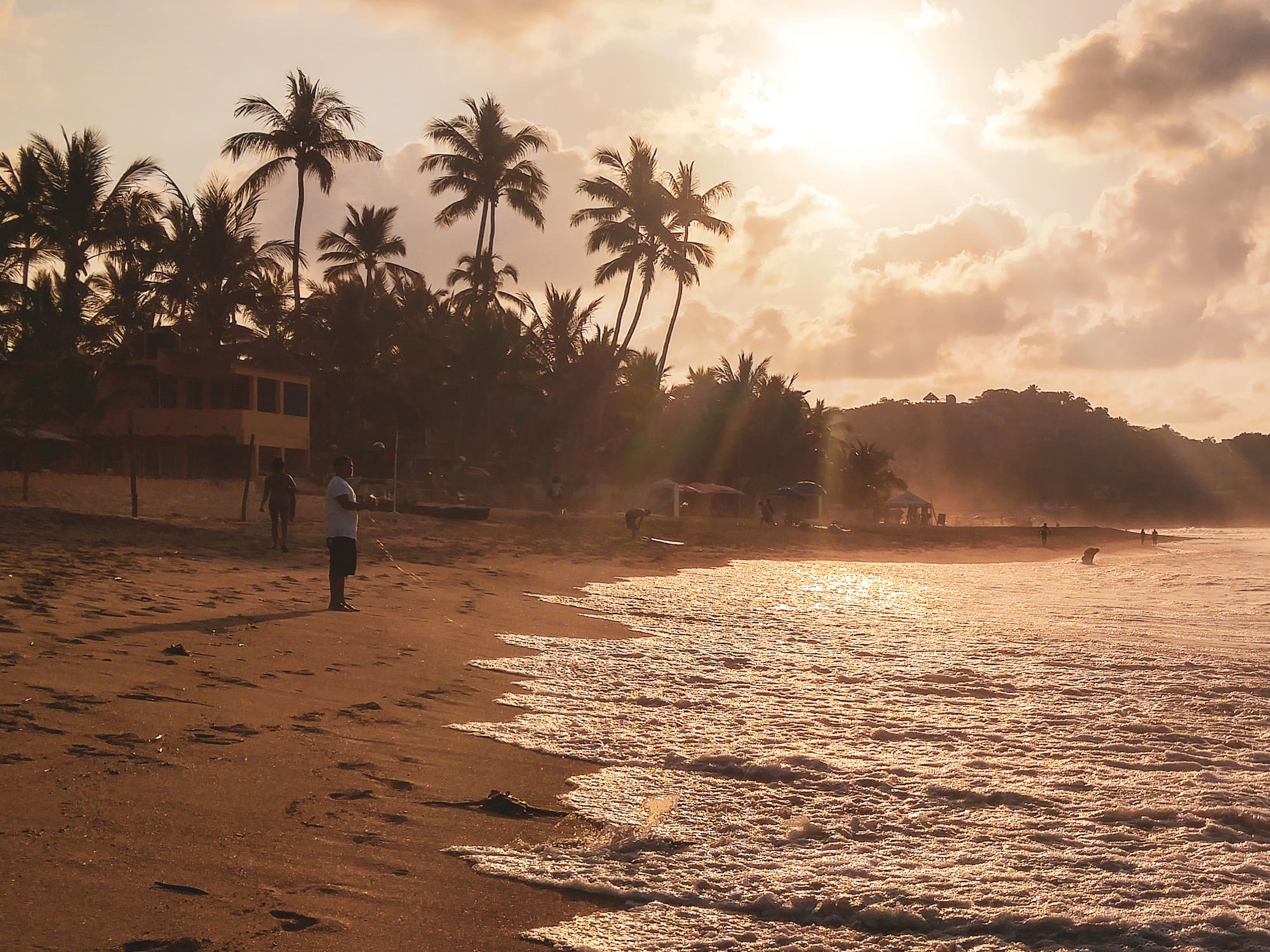 a beach with palm trees and a building