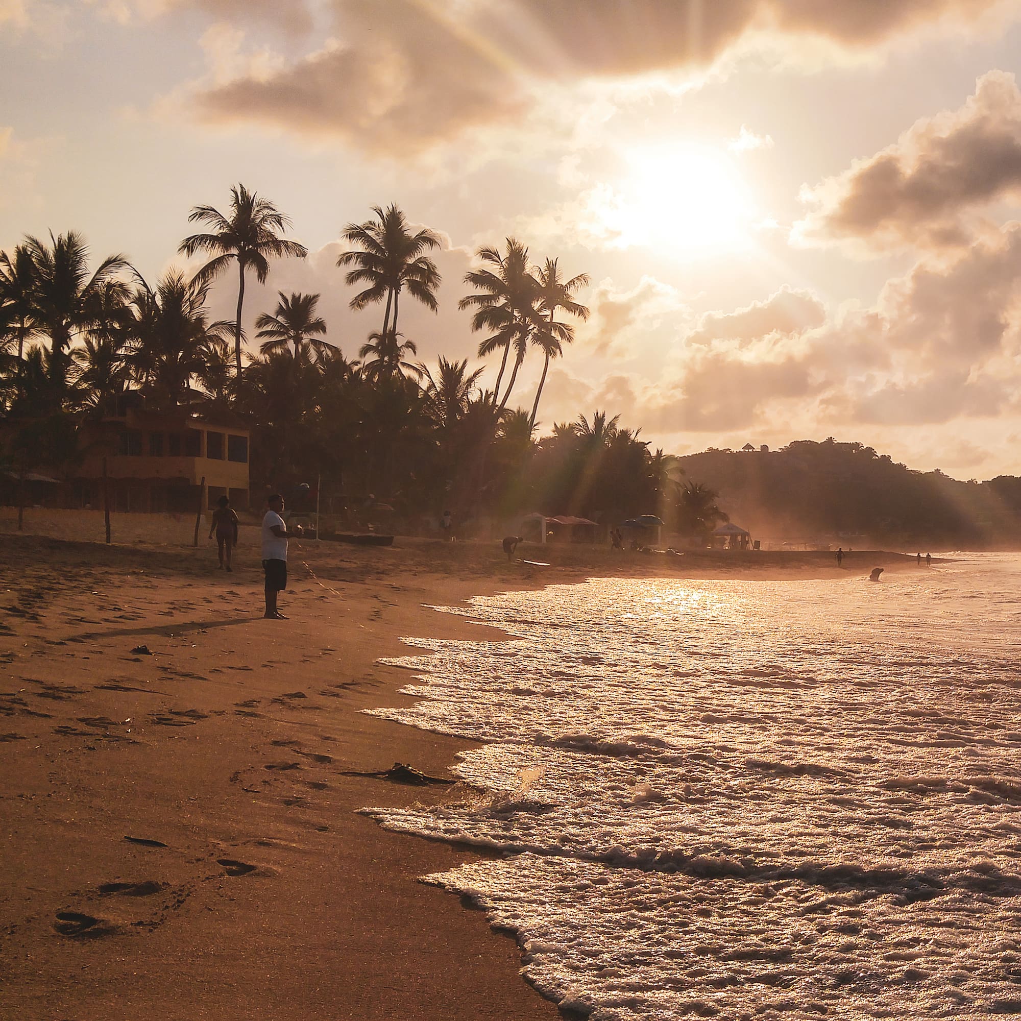 a beach with palm trees and a building