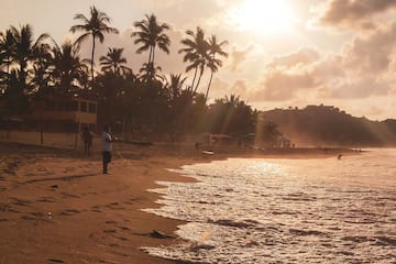 a beach with palm trees and a building