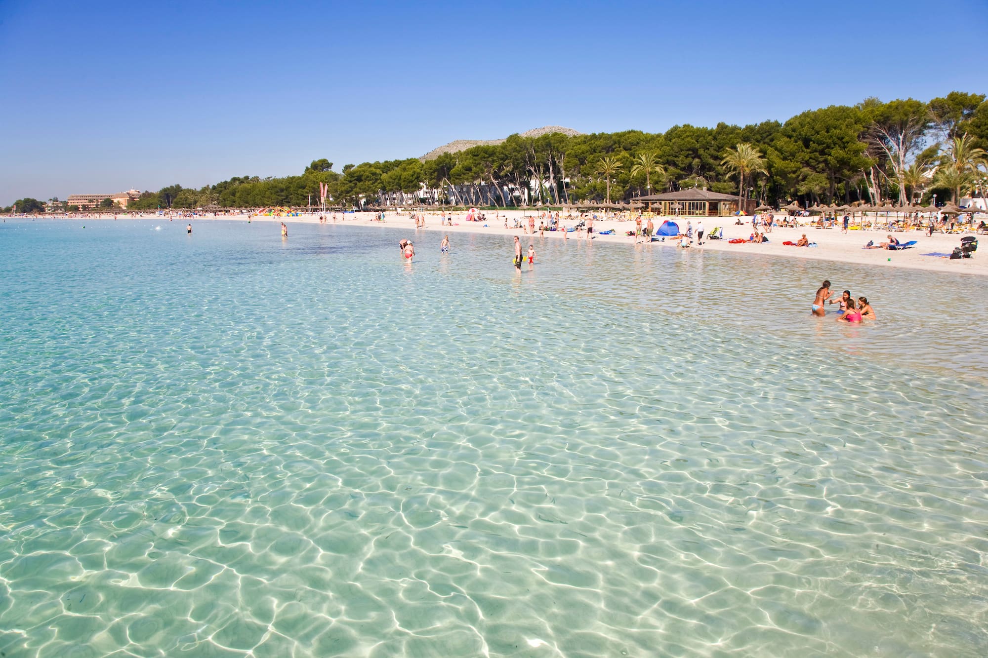 Playa soleada con agua cristalina, bañistas, arena y palmeras.