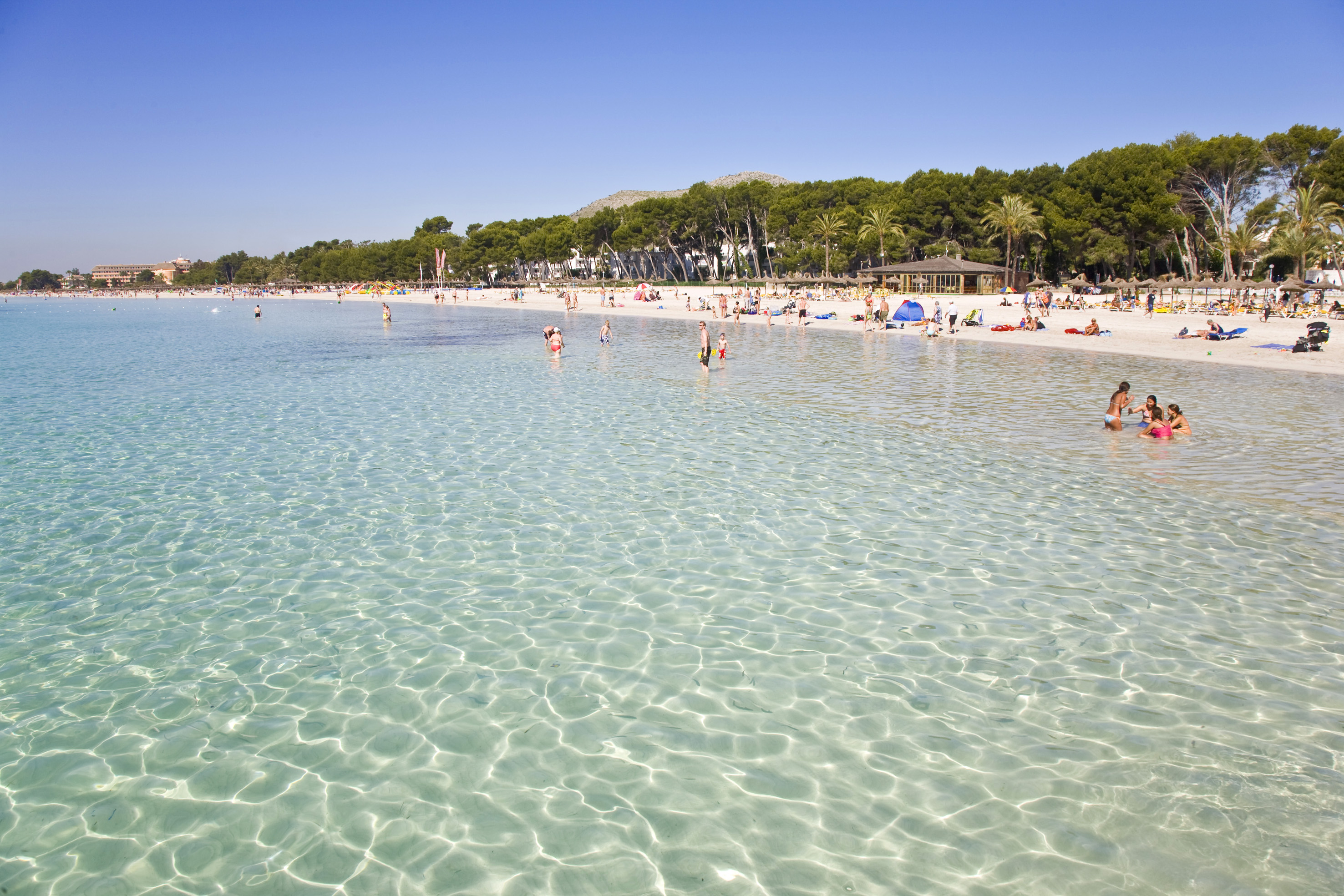 Playa soleada con agua cristalina, bañistas, arena y palmeras.