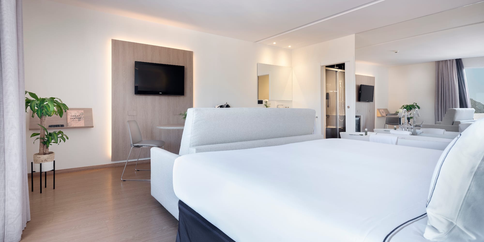 a room with a bed and a television