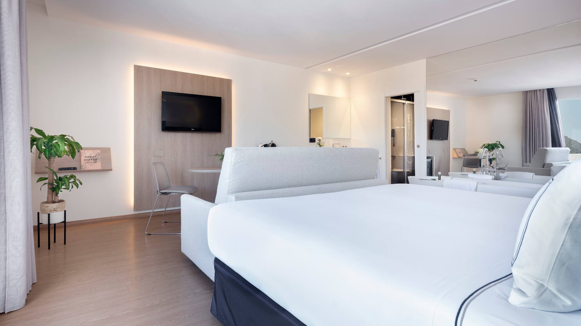 a room with a bed and a television