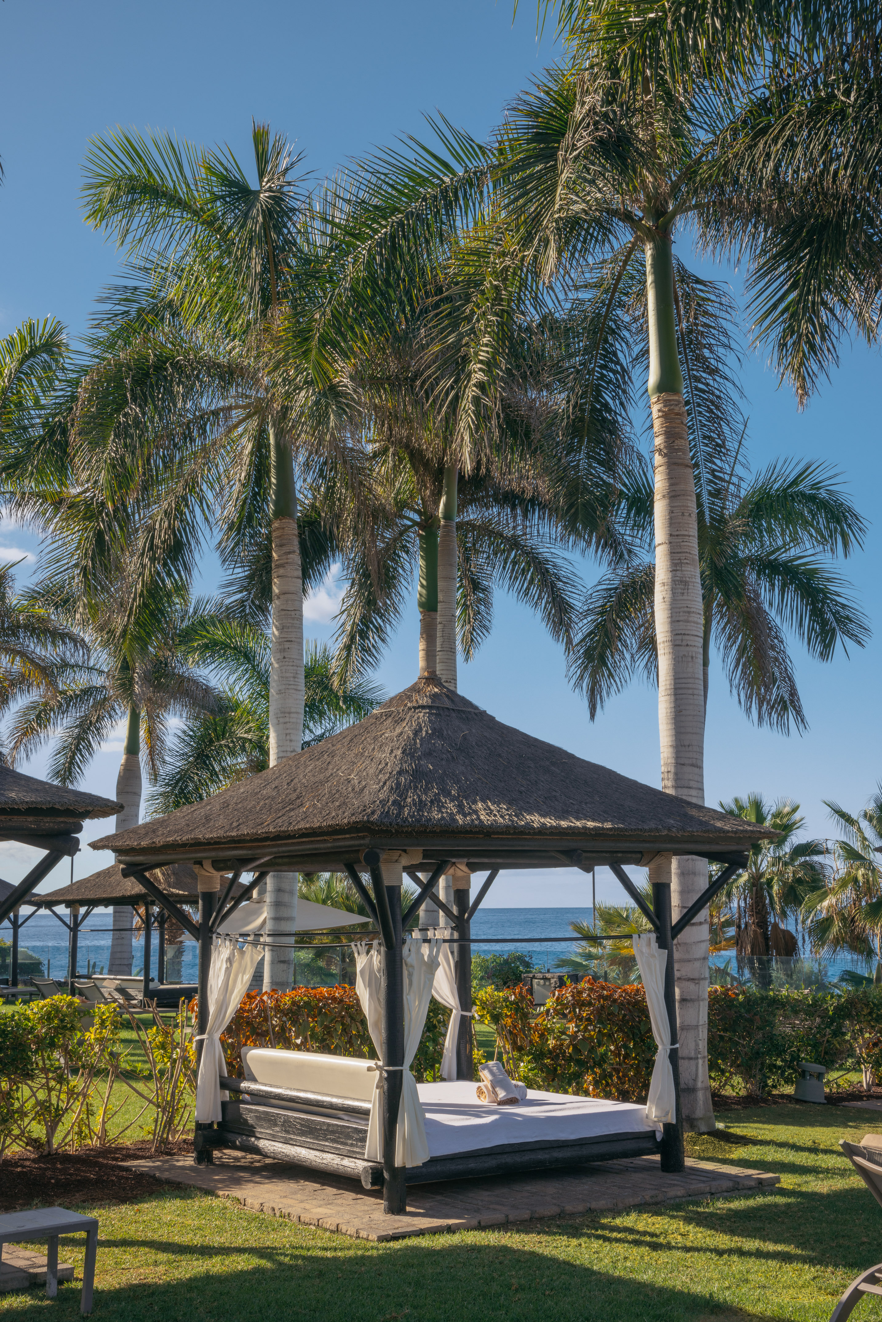 a gazebo with a palm tree in the background