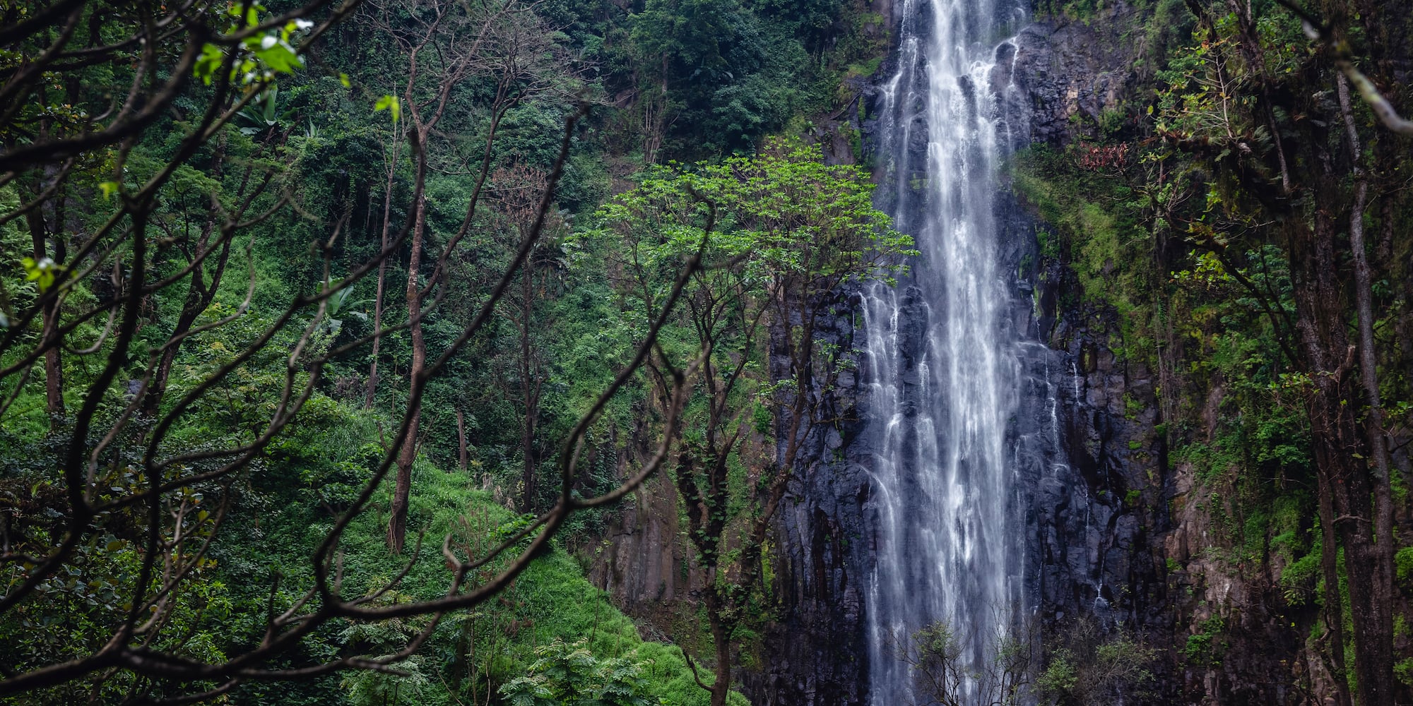 a waterfall in the forest