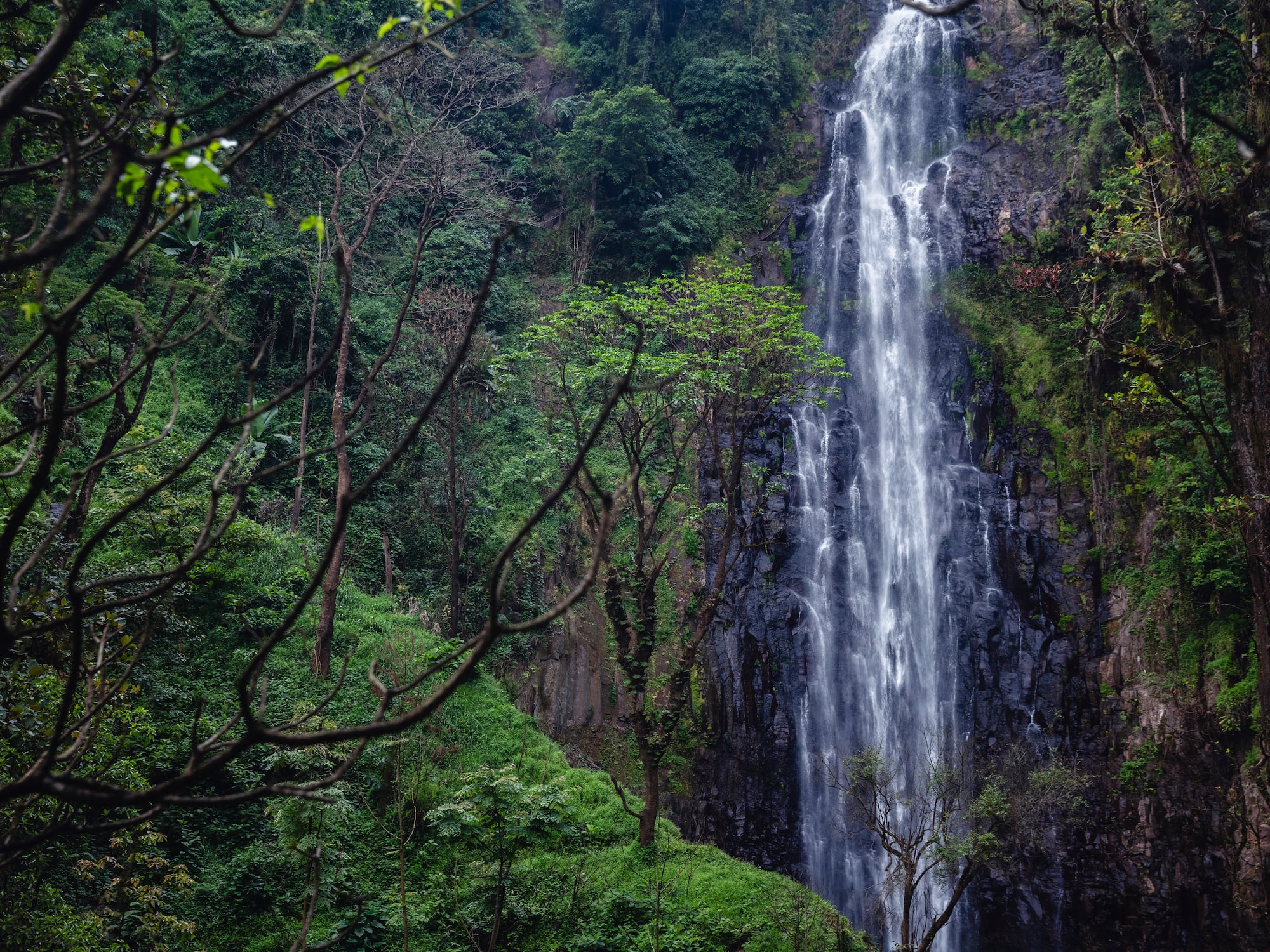 a waterfall in the forest