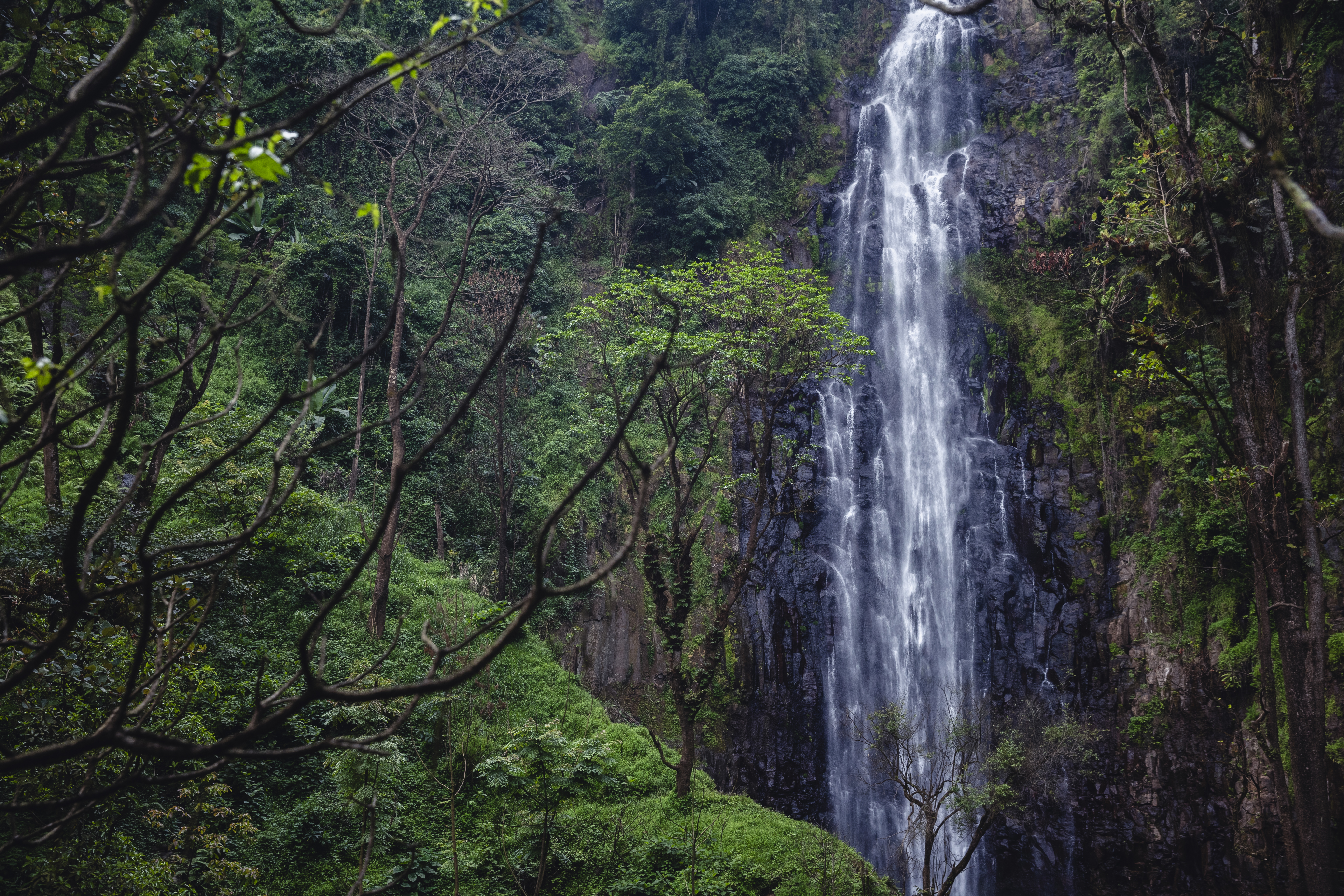 a waterfall in the forest
