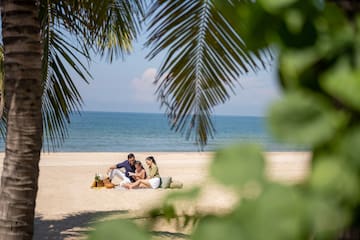 a group of people sitting on a beach