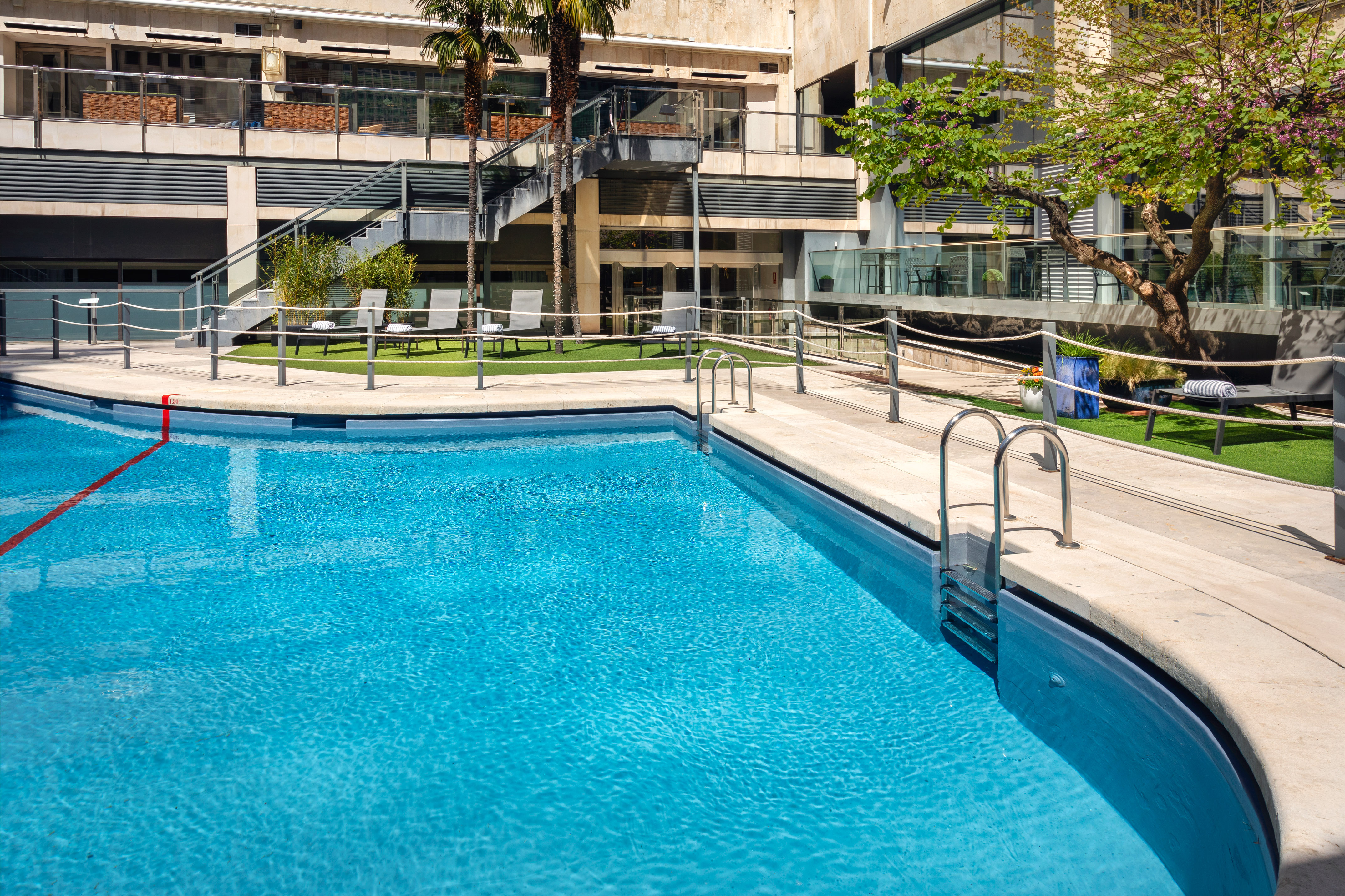Sunny hotel outdoor pool with lounge chairs, palm trees, modern architecture.