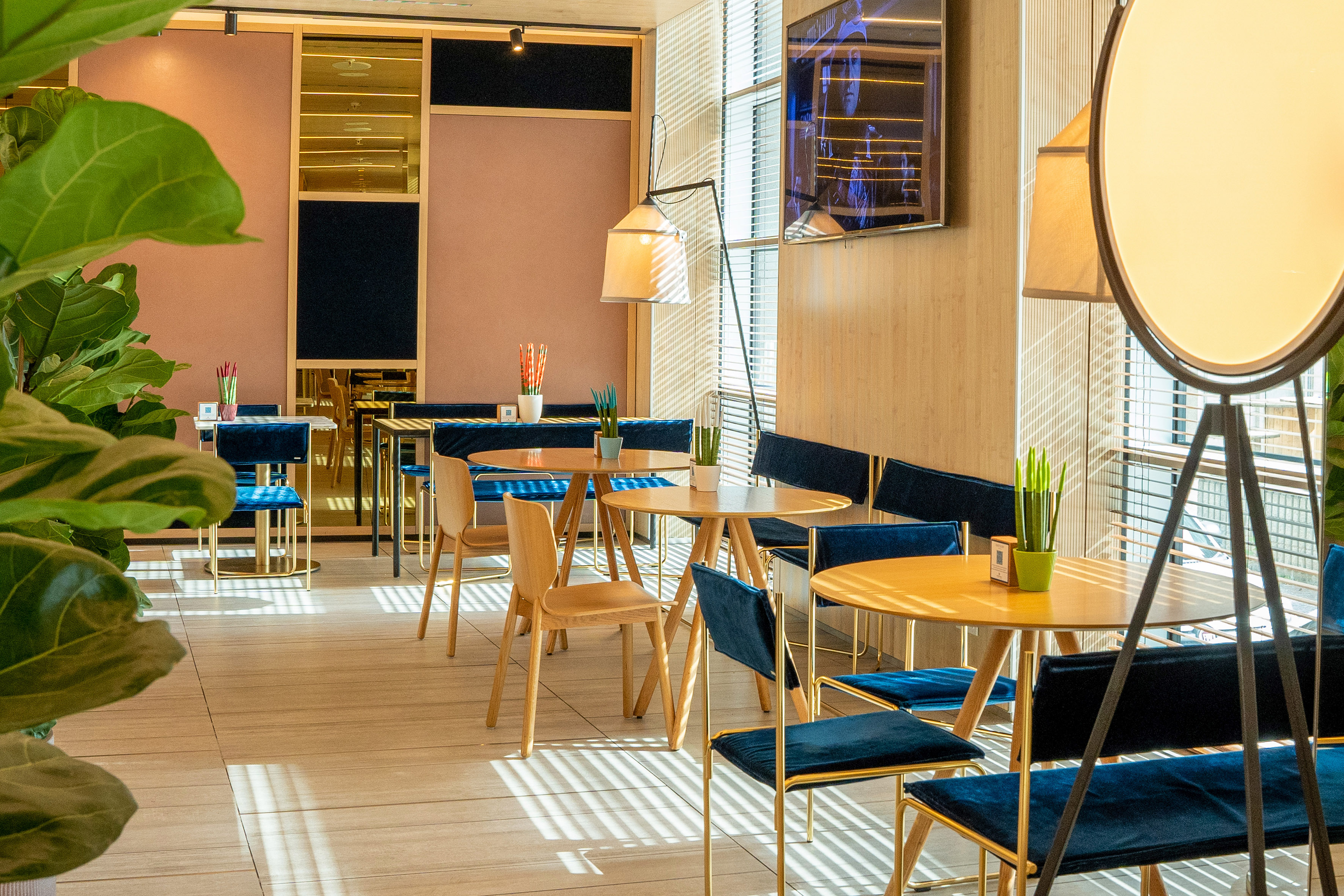 Modern cafe interior with wooden tables, blue velvet chairs, and sunlight.