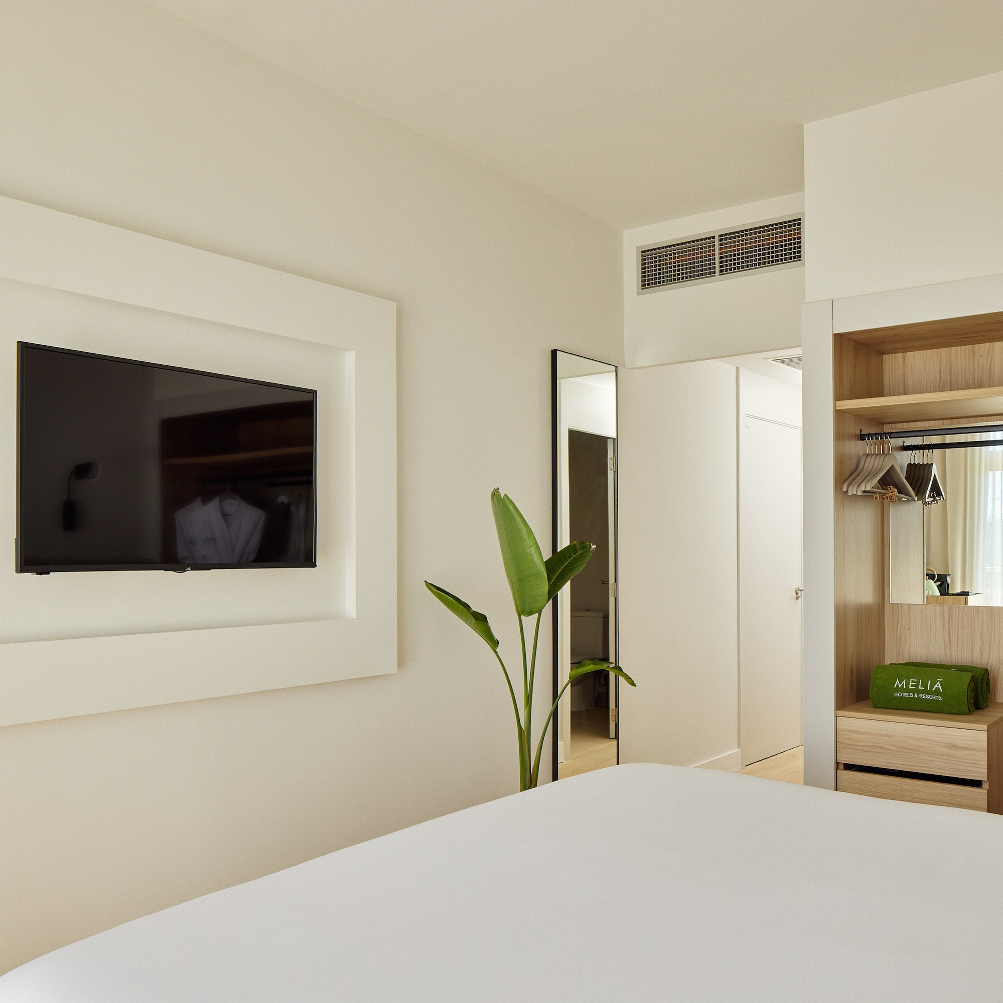 a room with a tv and a plant